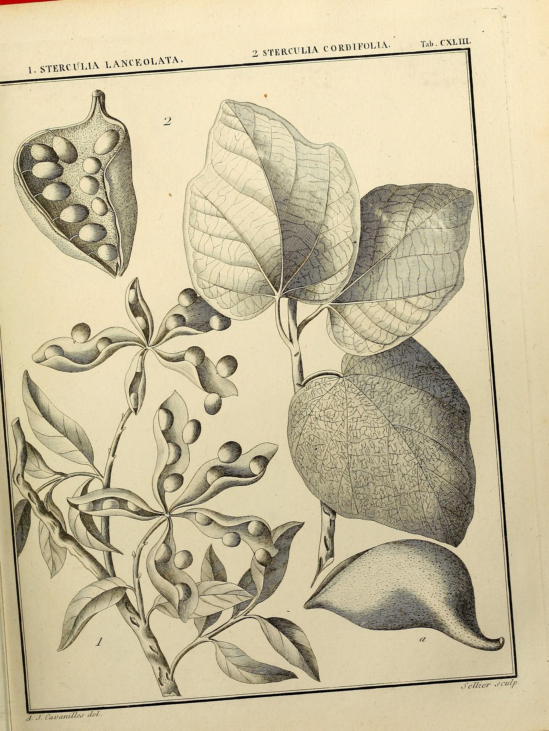 no full size  illustration available (3a)