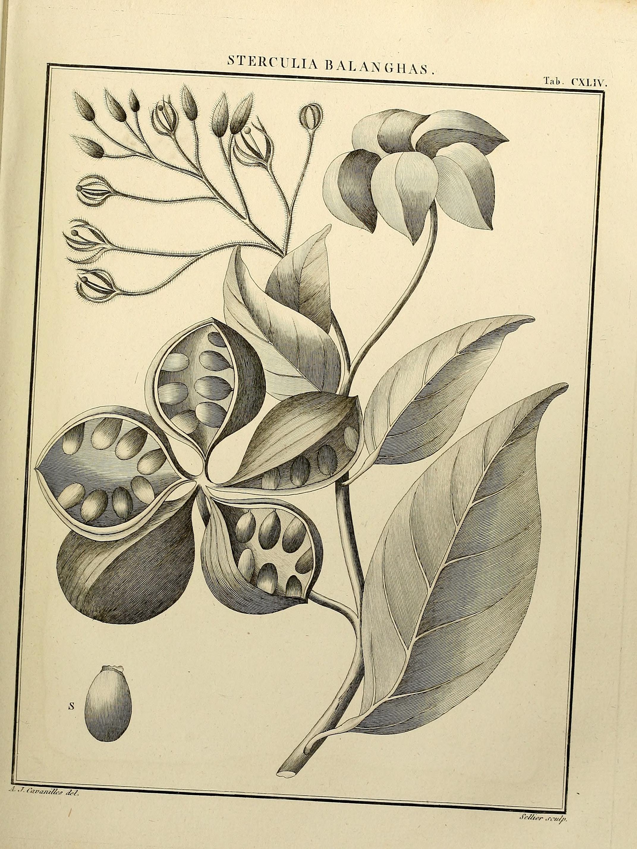 no full size  illustration available (3a)