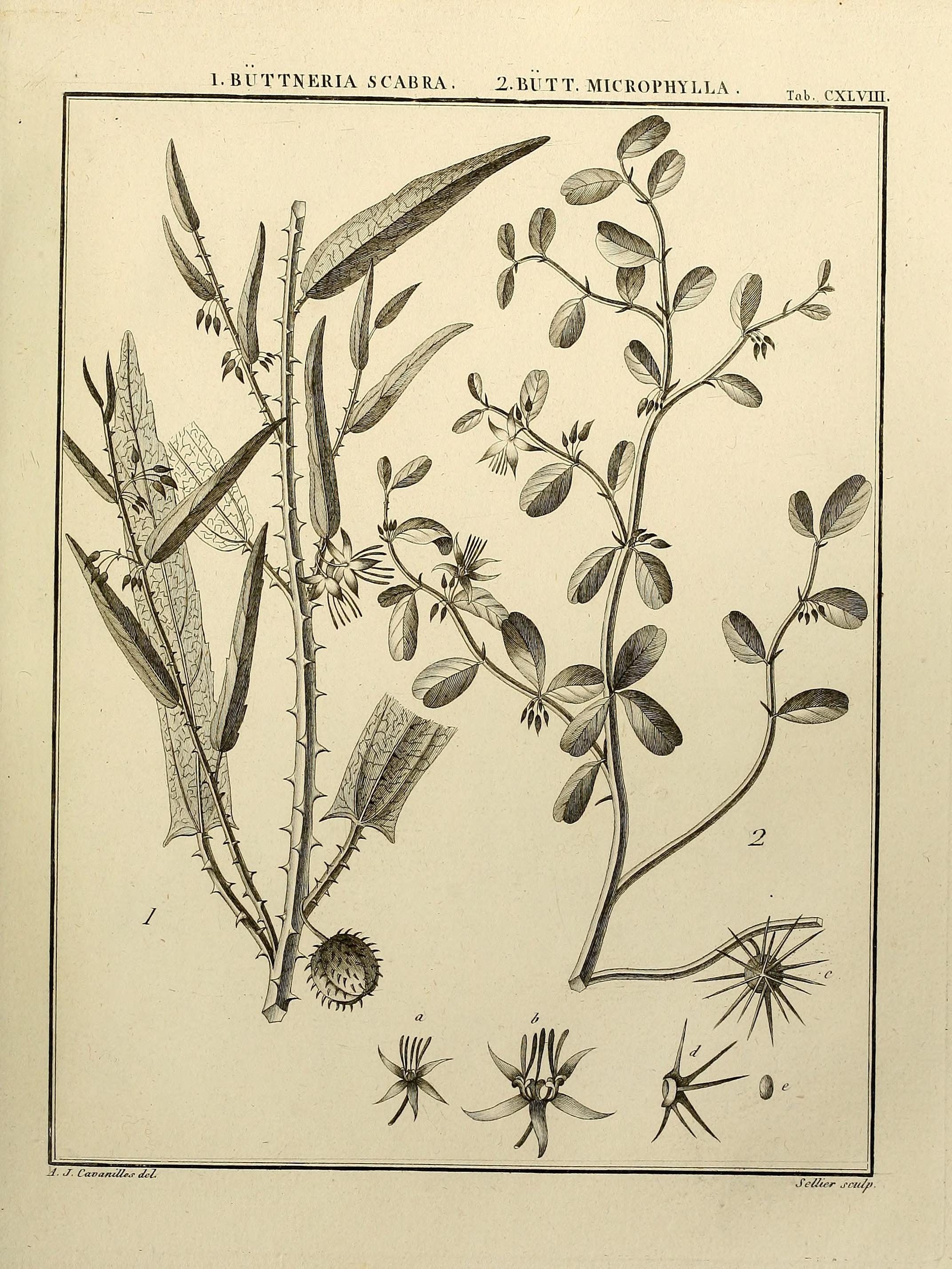 no full size  illustration available (3a)