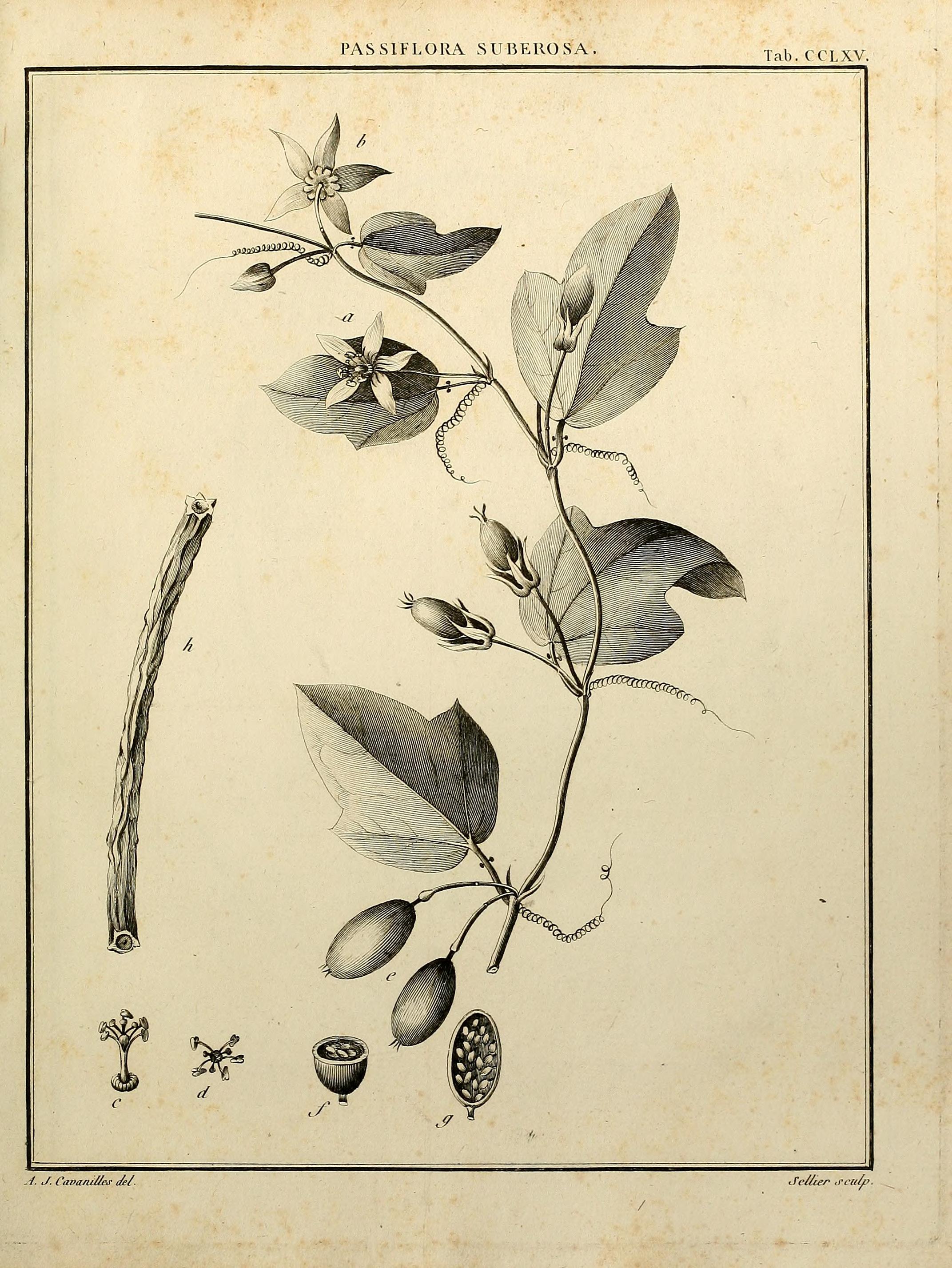 no full size  illustration available (3a)