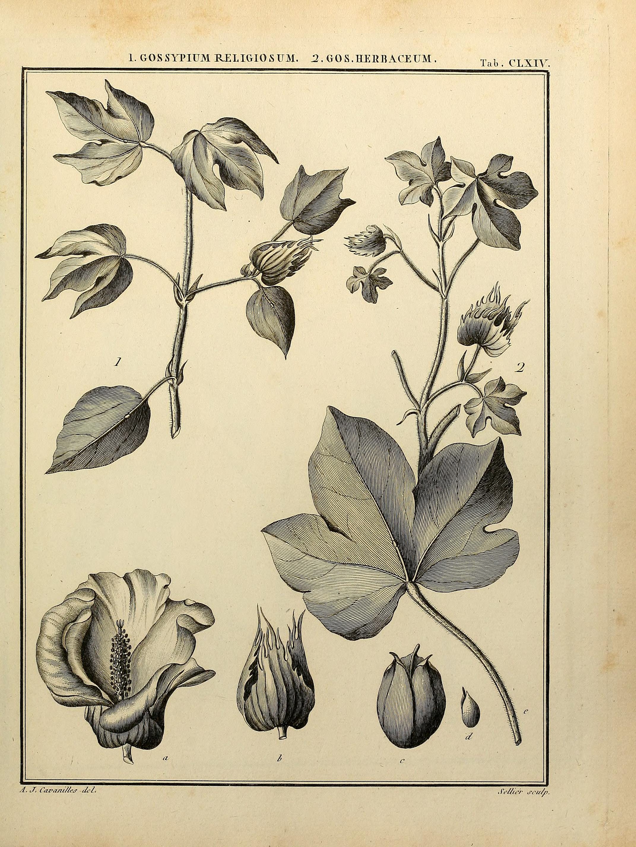 no full size  illustration available (3a)