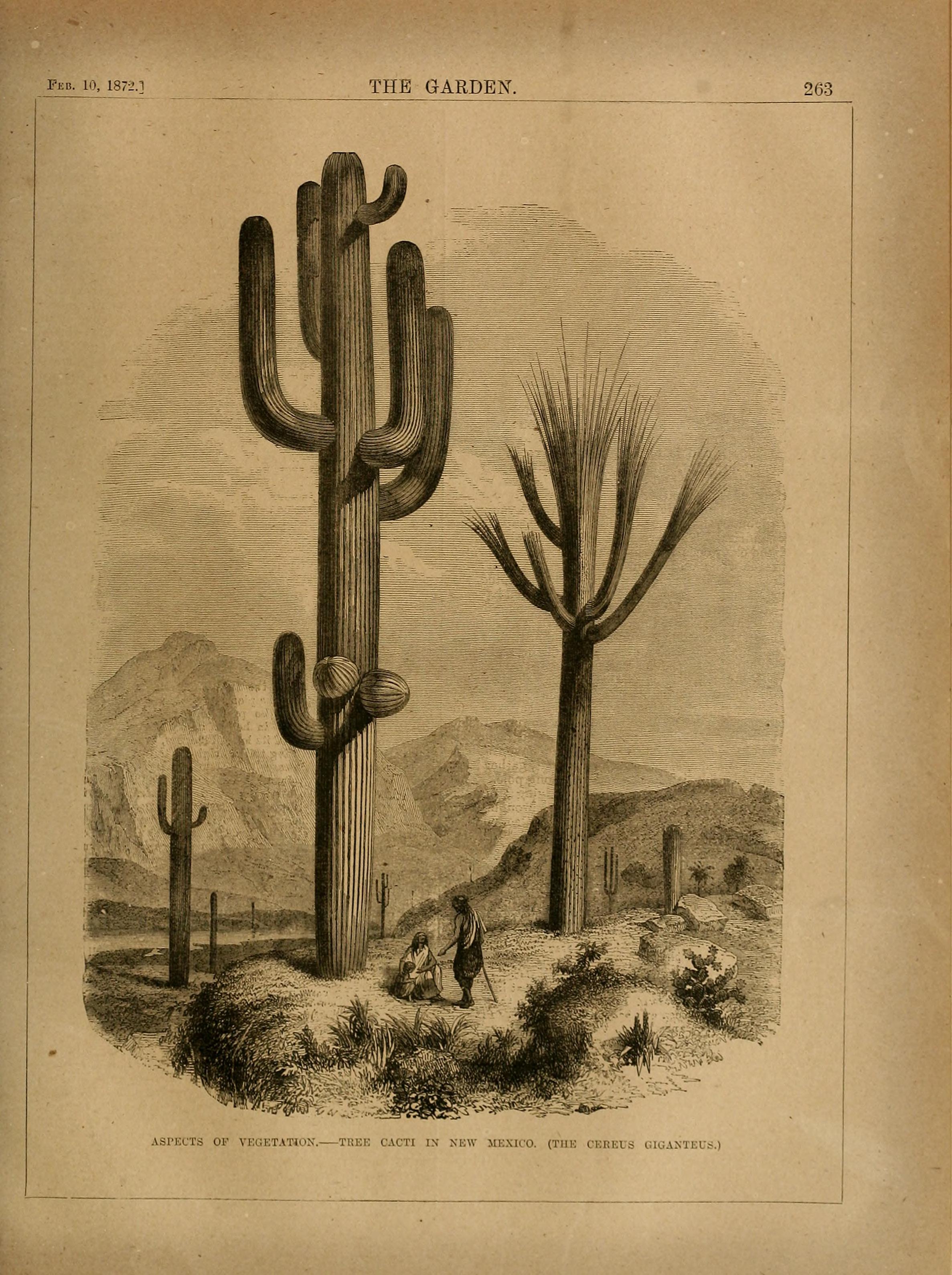 no full size  illustration available (3a)