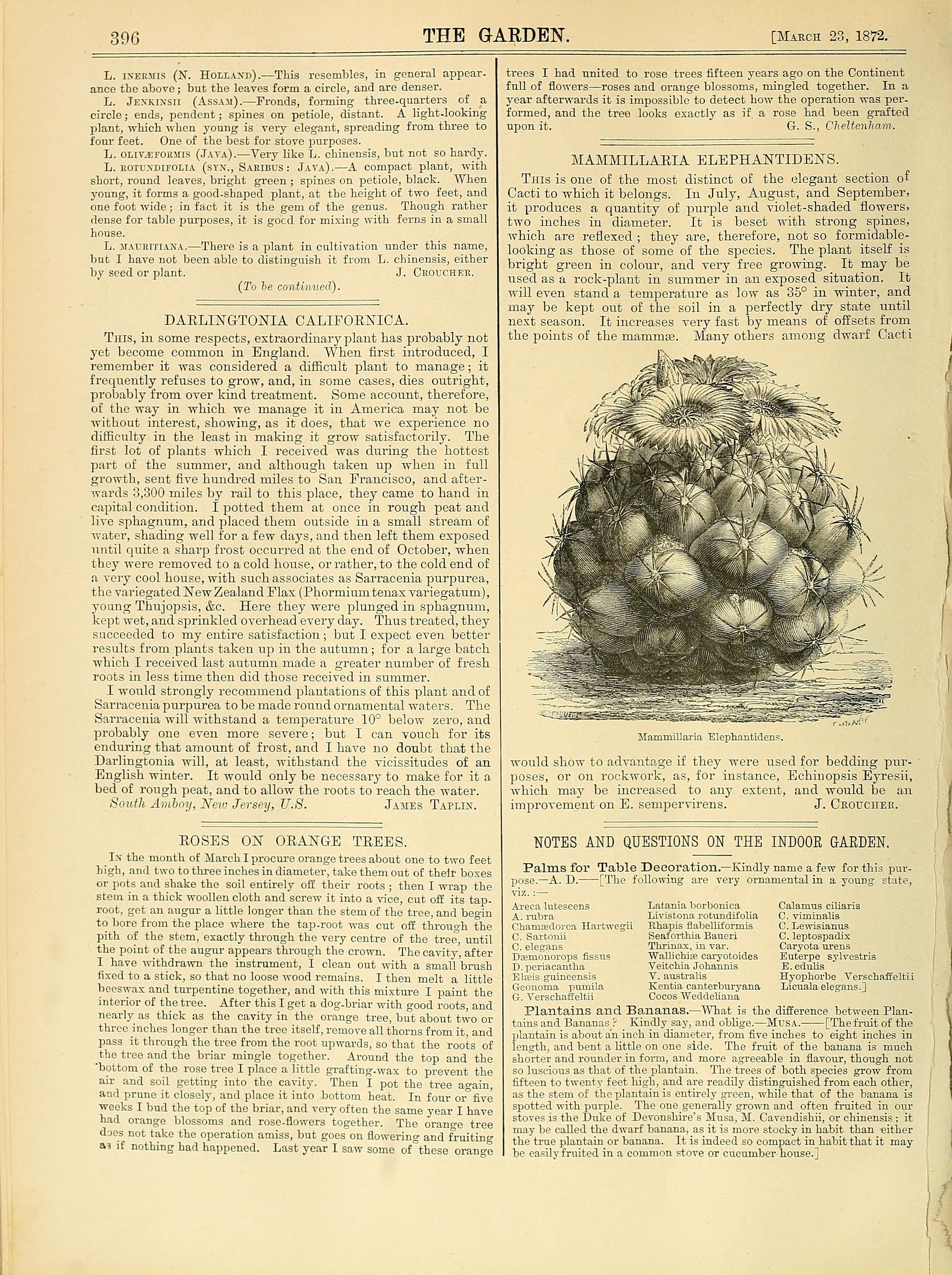 no full size  illustration available (3a)