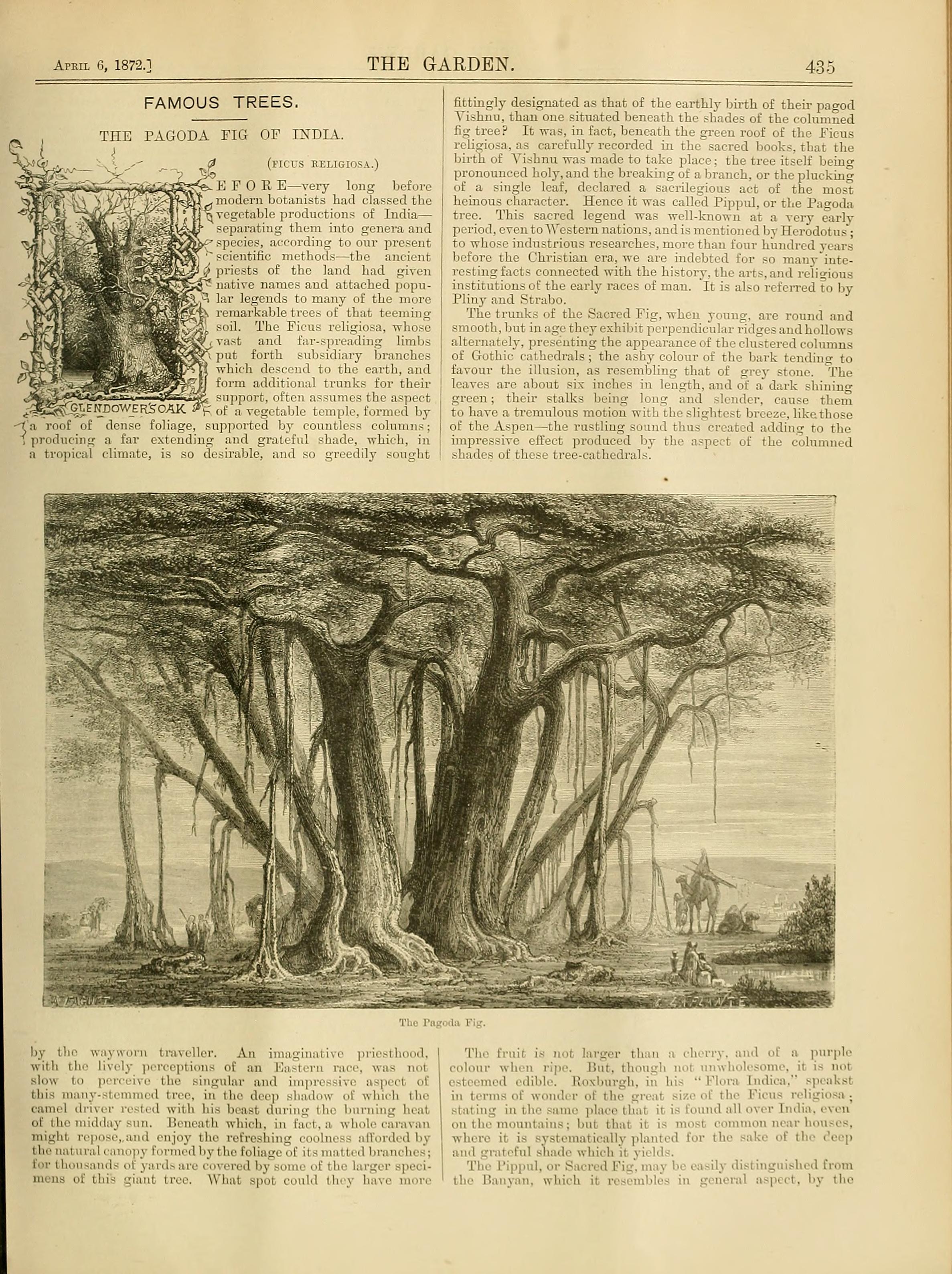 no full size  illustration available (3a)