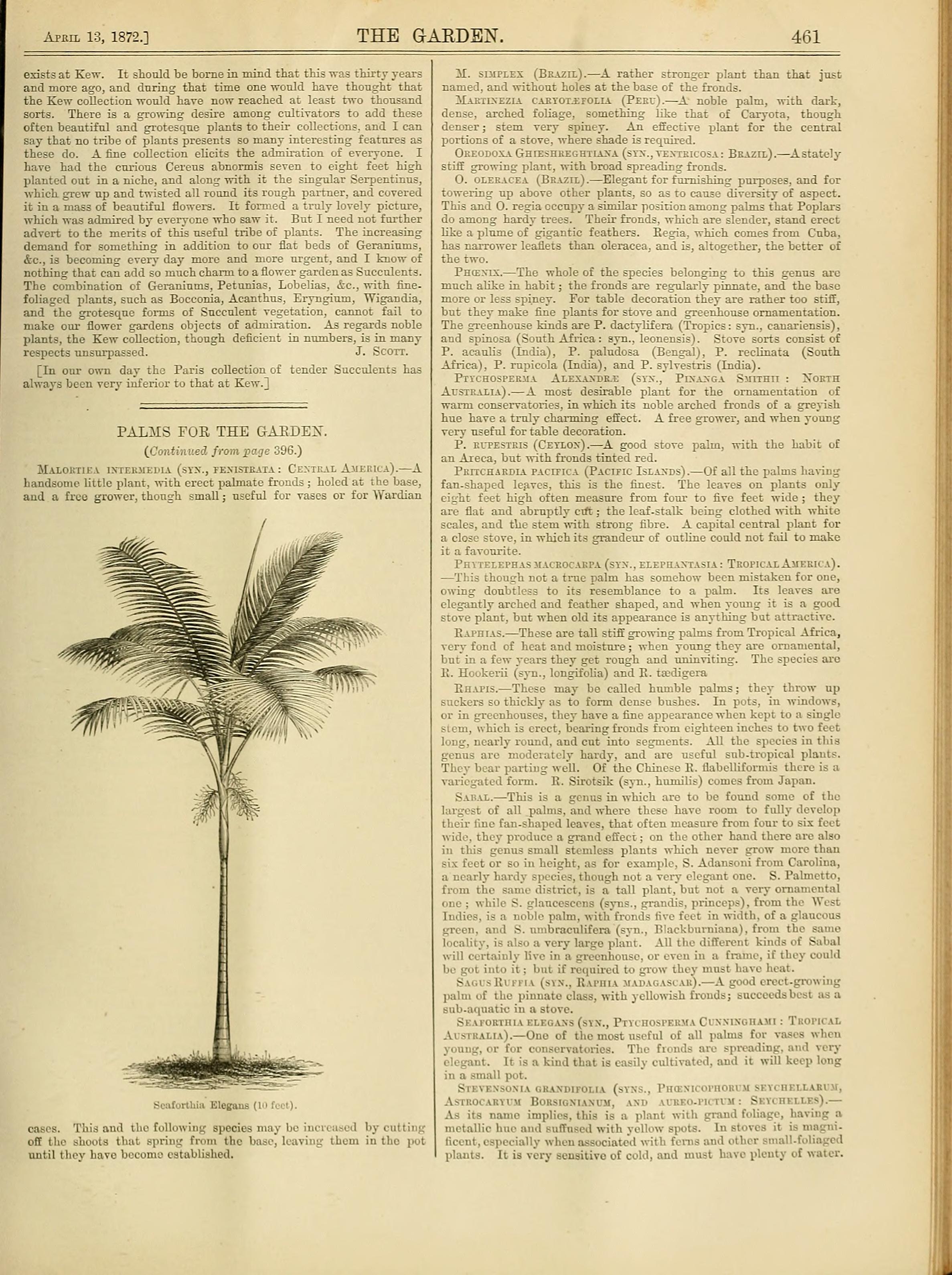 no full size  illustration available (3a)