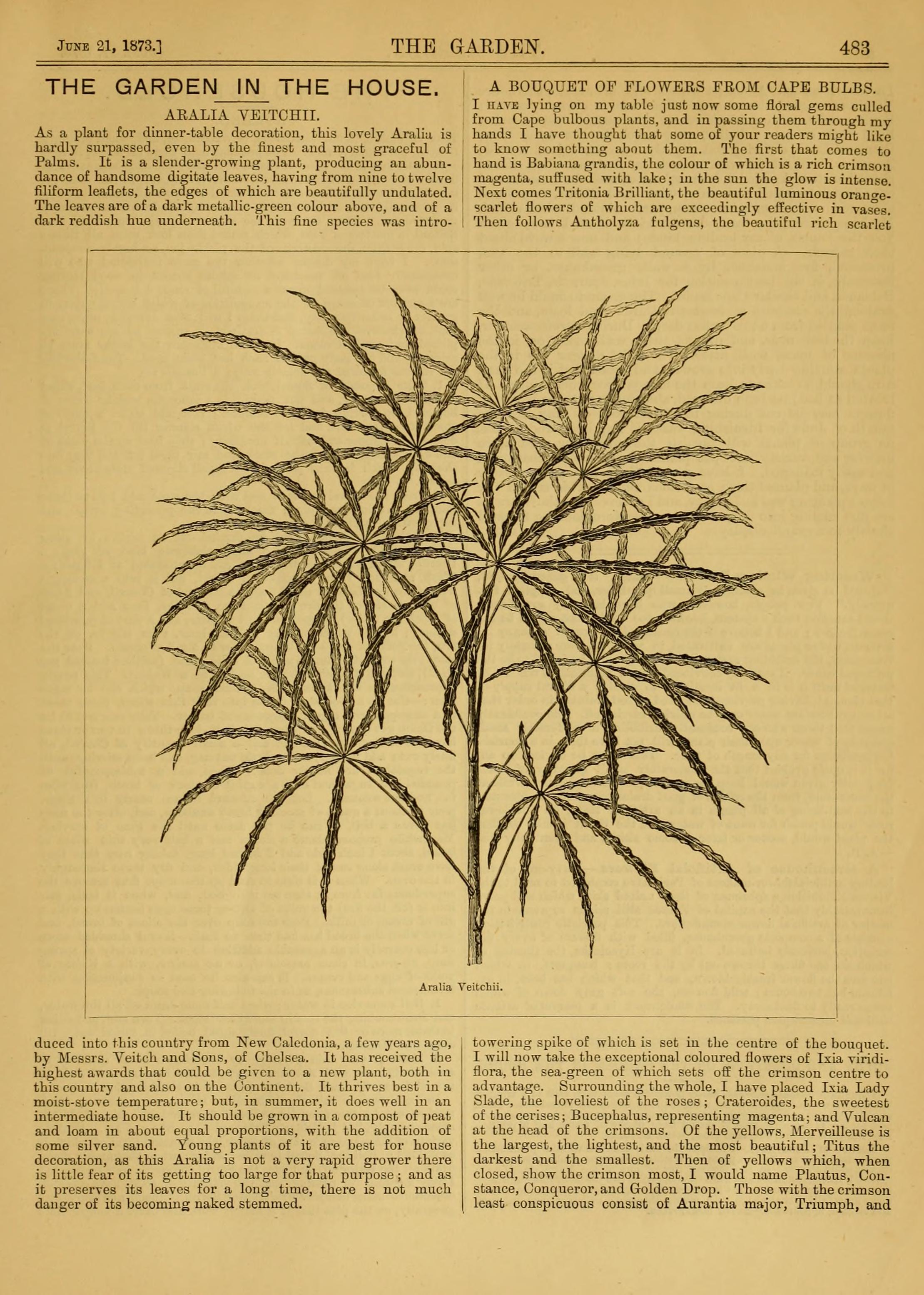 no full size  illustration available (3a)