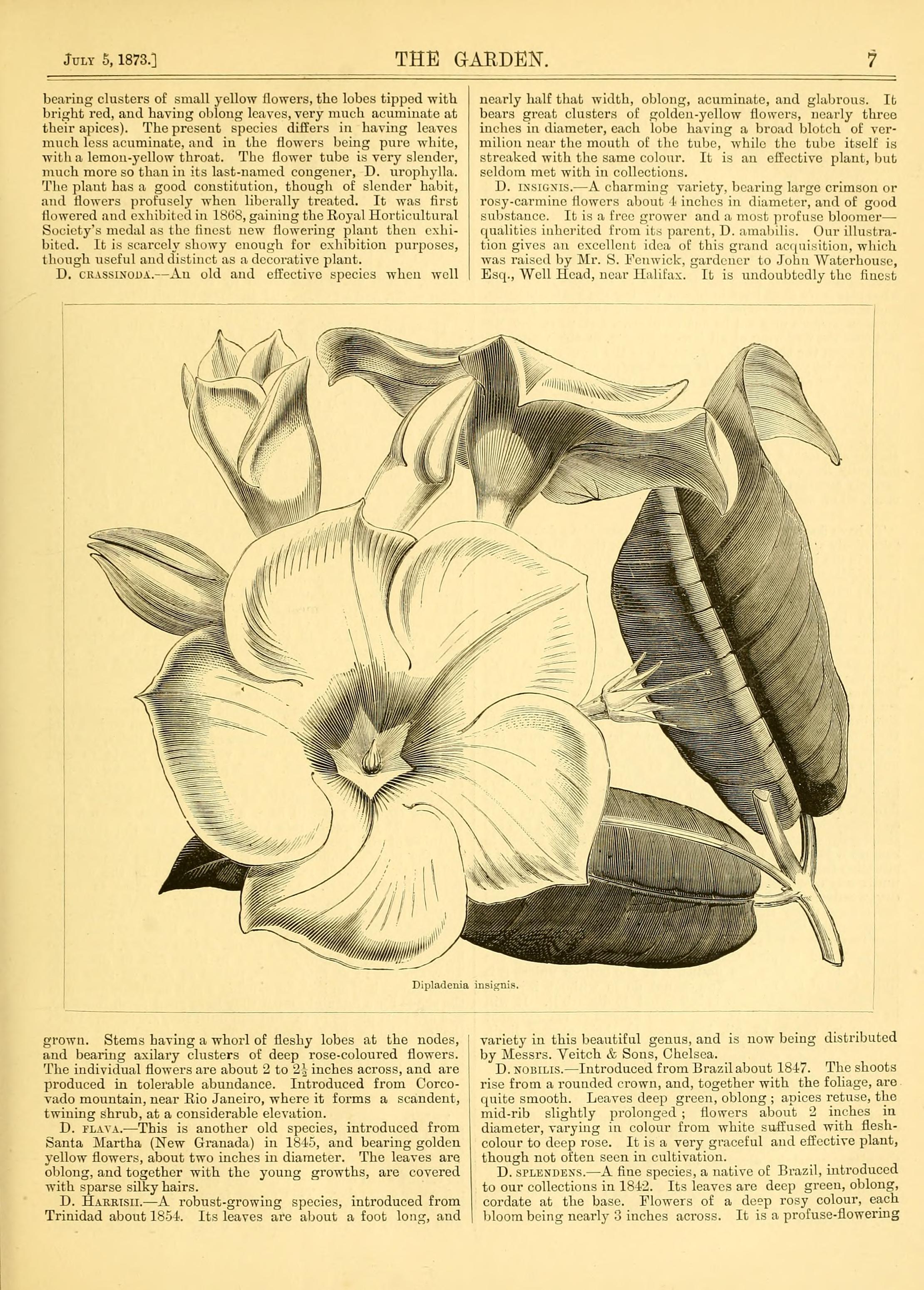 no full size  illustration available (3a)