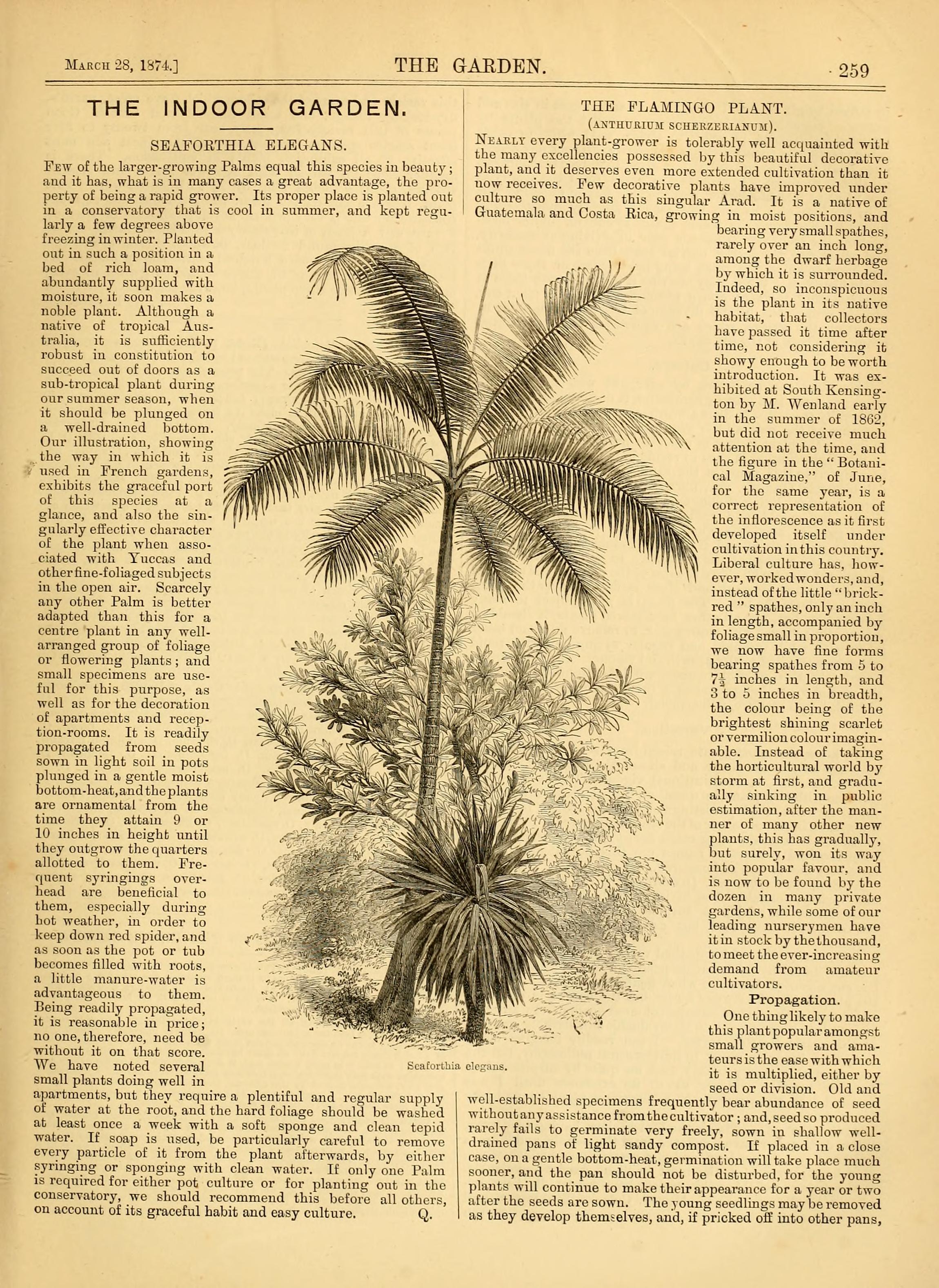 no full size  illustration available (3a)