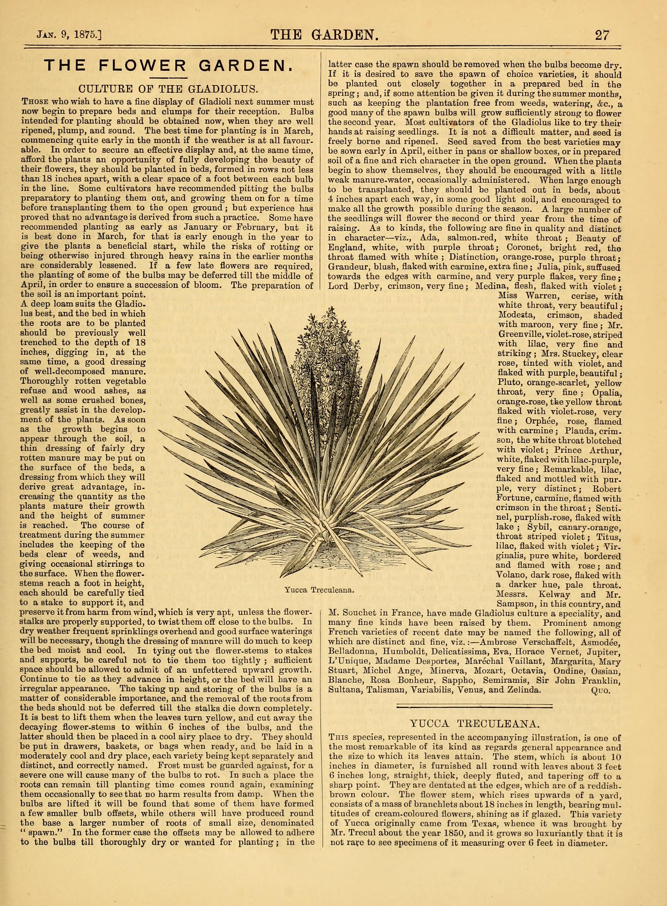 no full size  illustration available (3a)