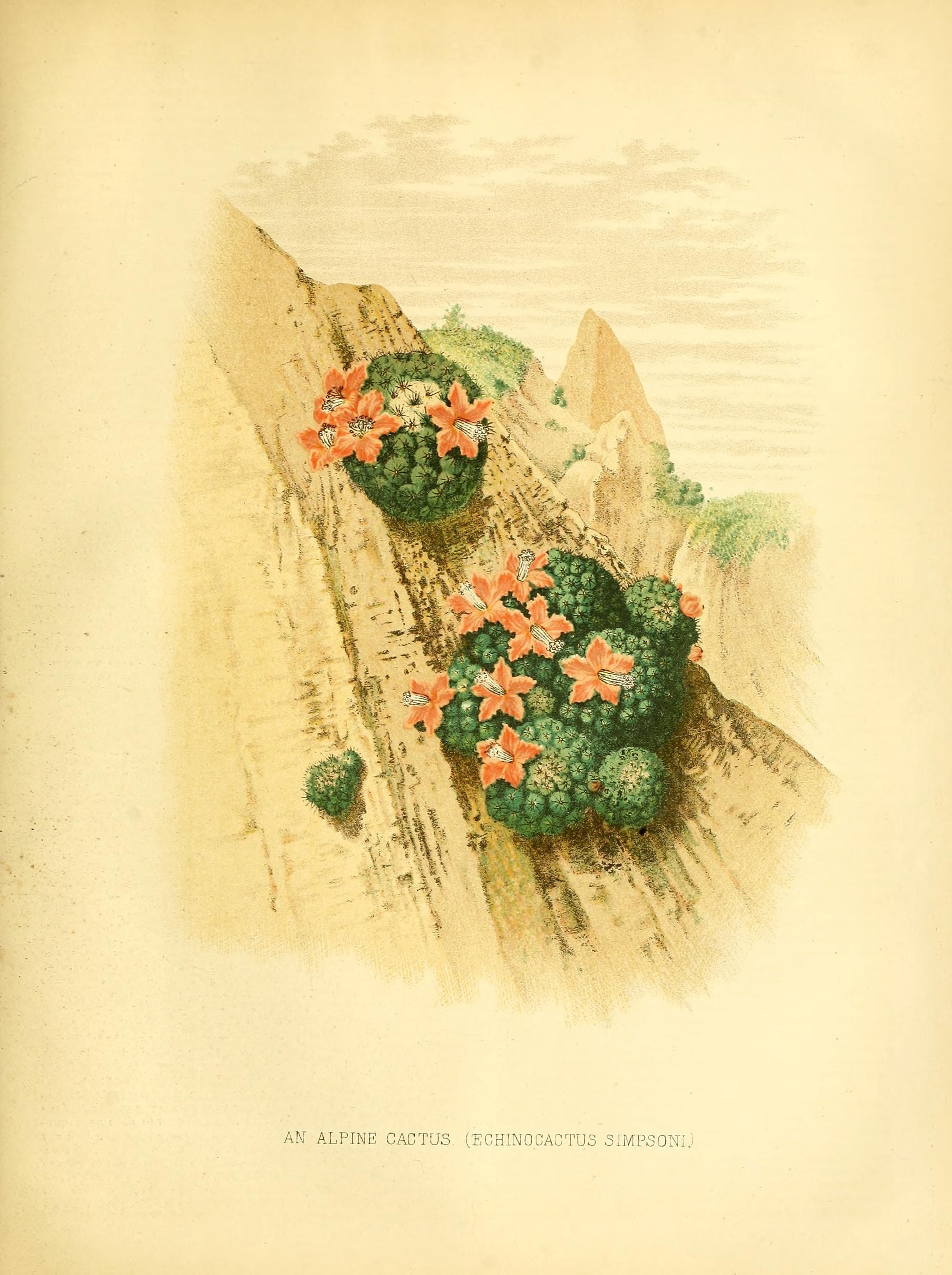 no full size  illustration available (3a)