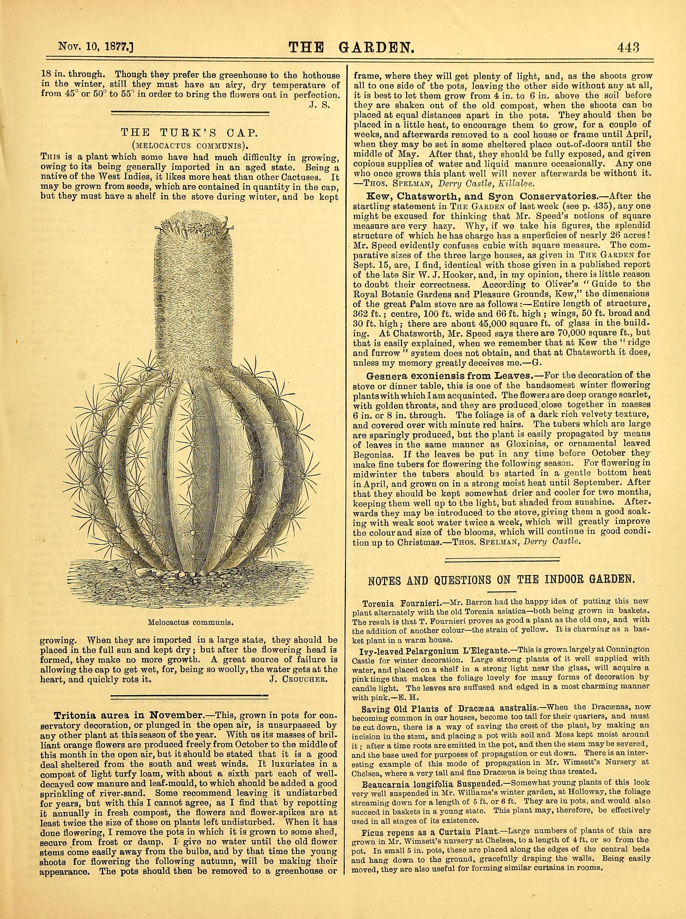 no full size  illustration available (3a)