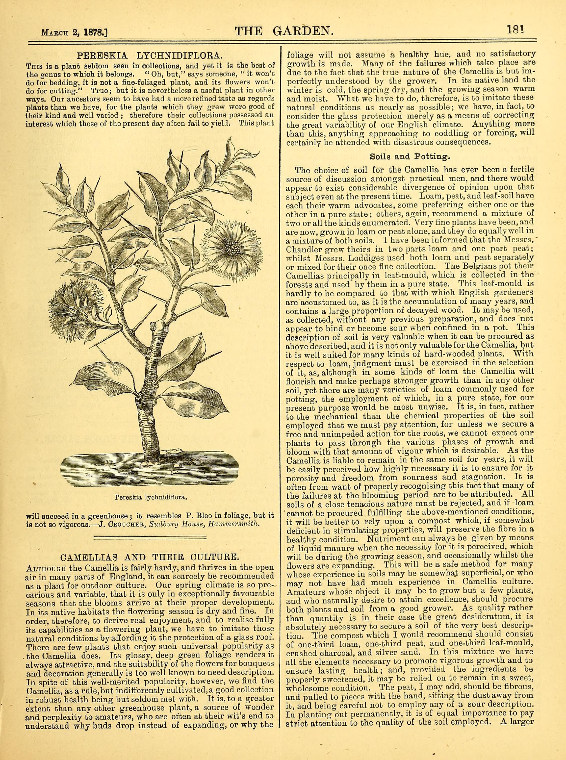 no full size  illustration available (3a)