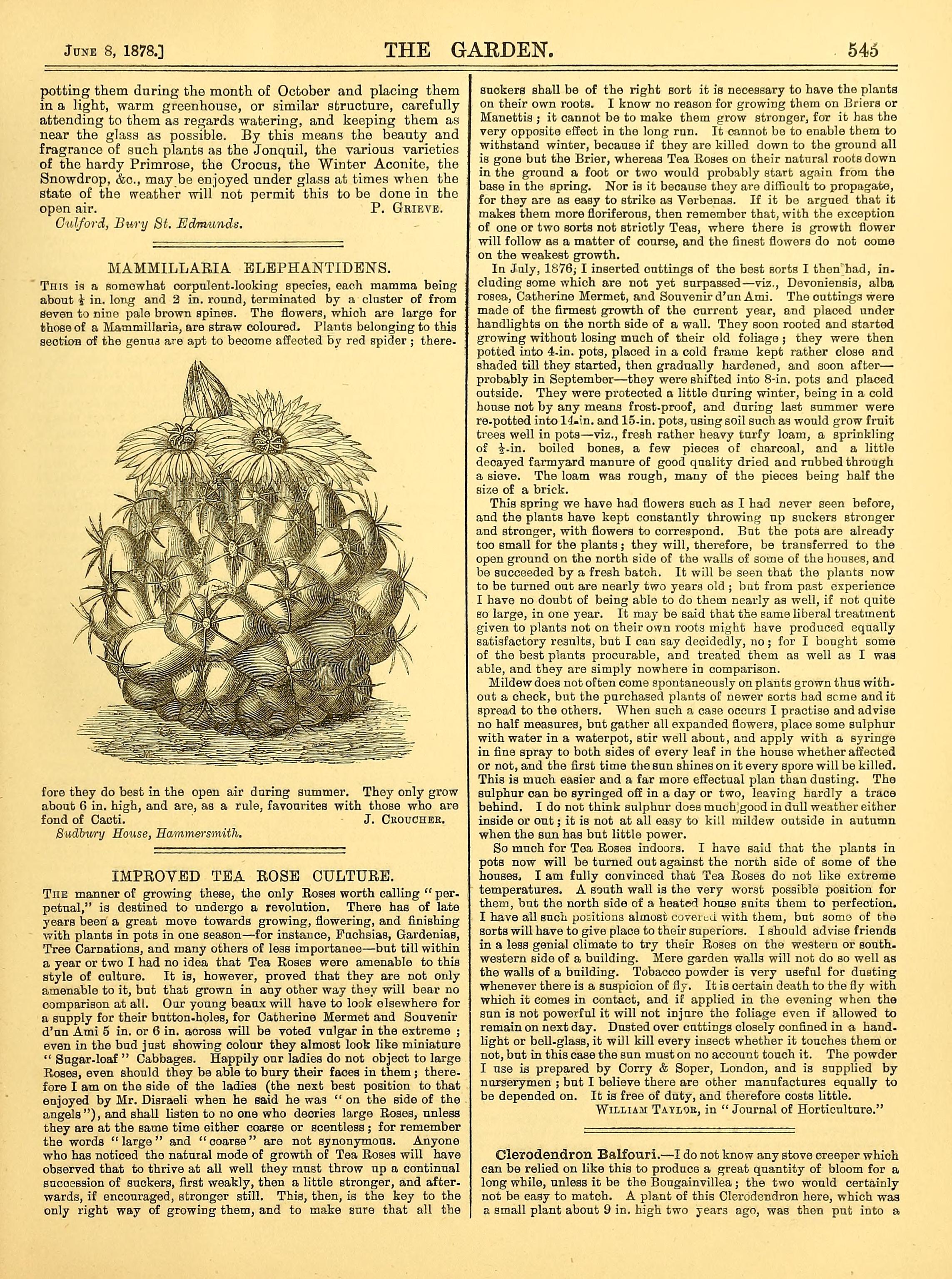 no full size  illustration available (3a)