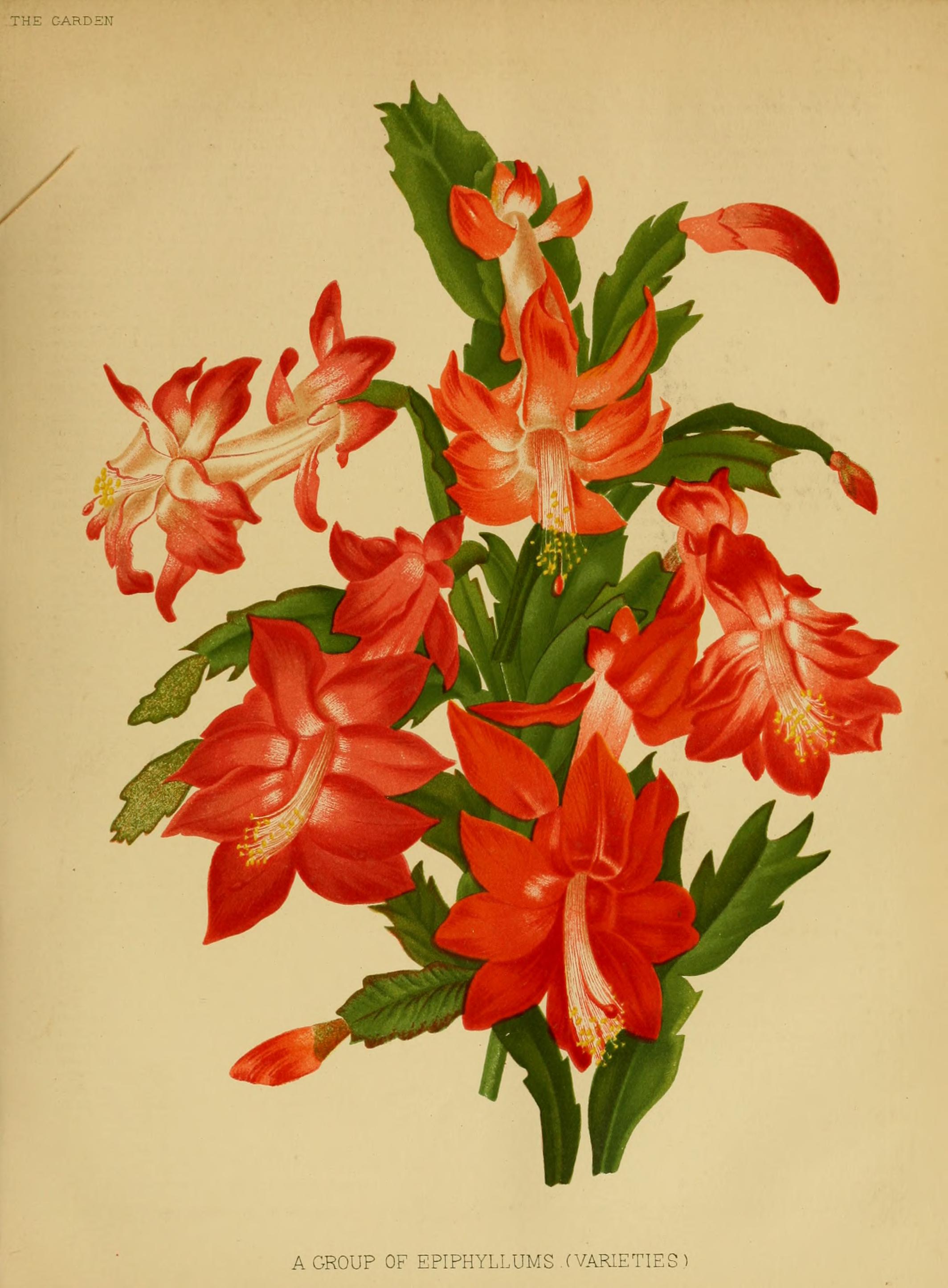 no full size  illustration available (3a)