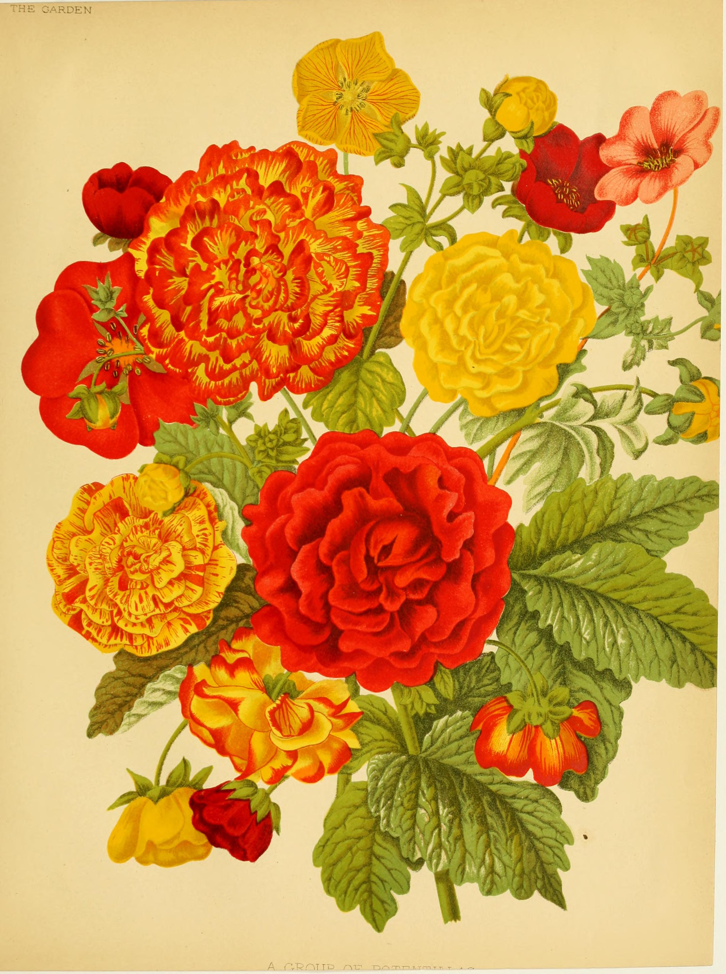 no full size  illustration available (3a)