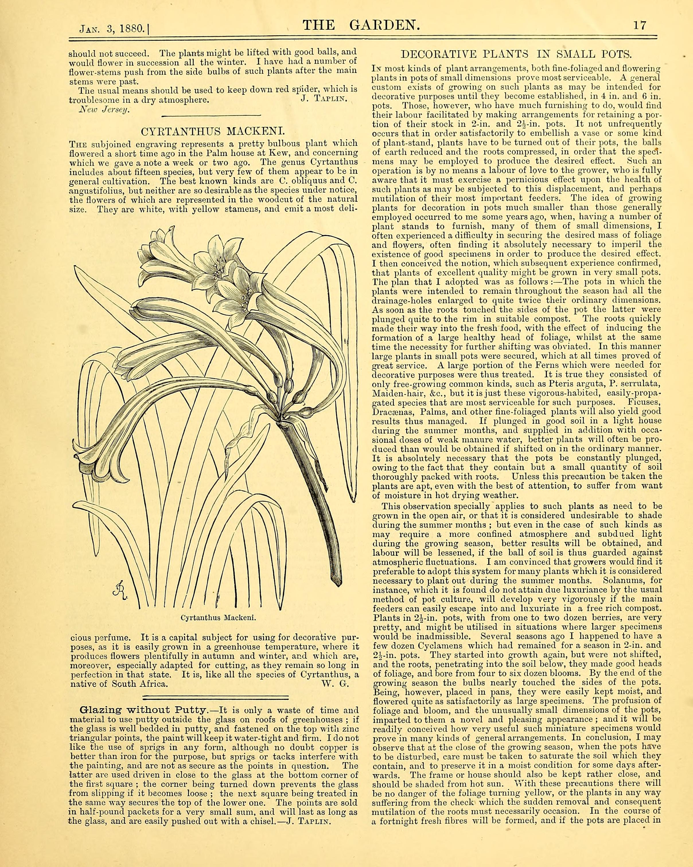 no full size  illustration available (3a)