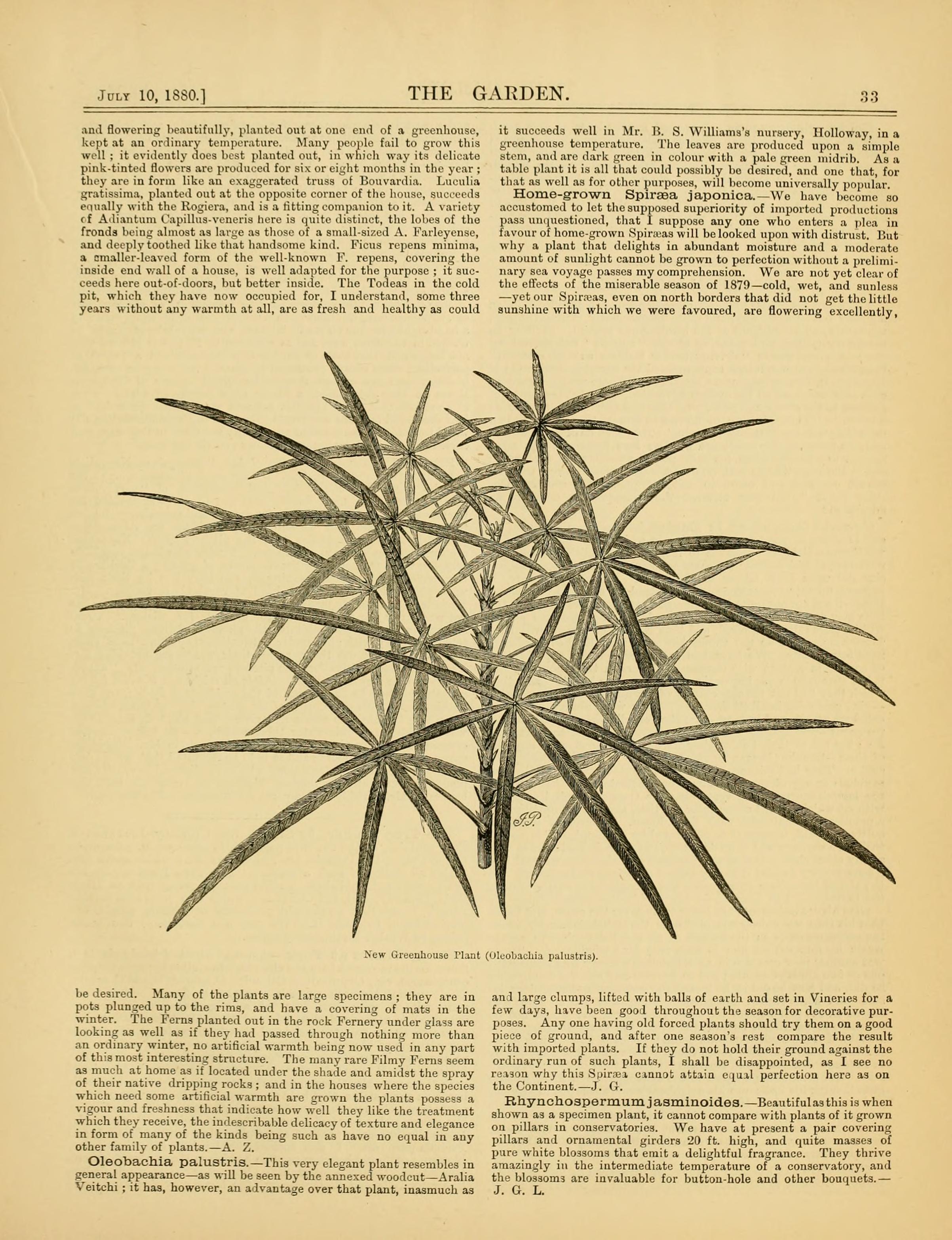 no full size  illustration available (3a)