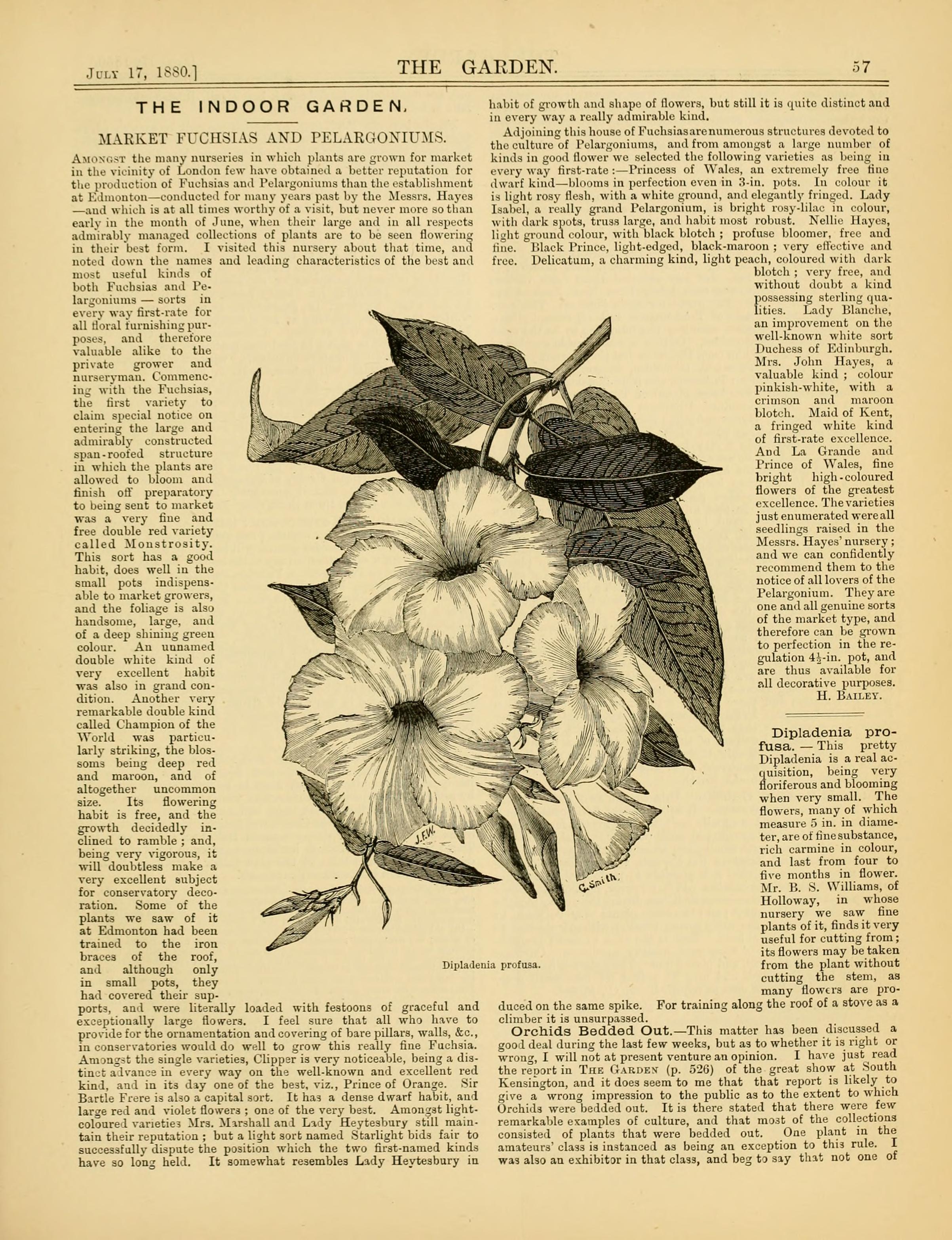 no full size  illustration available (3a)