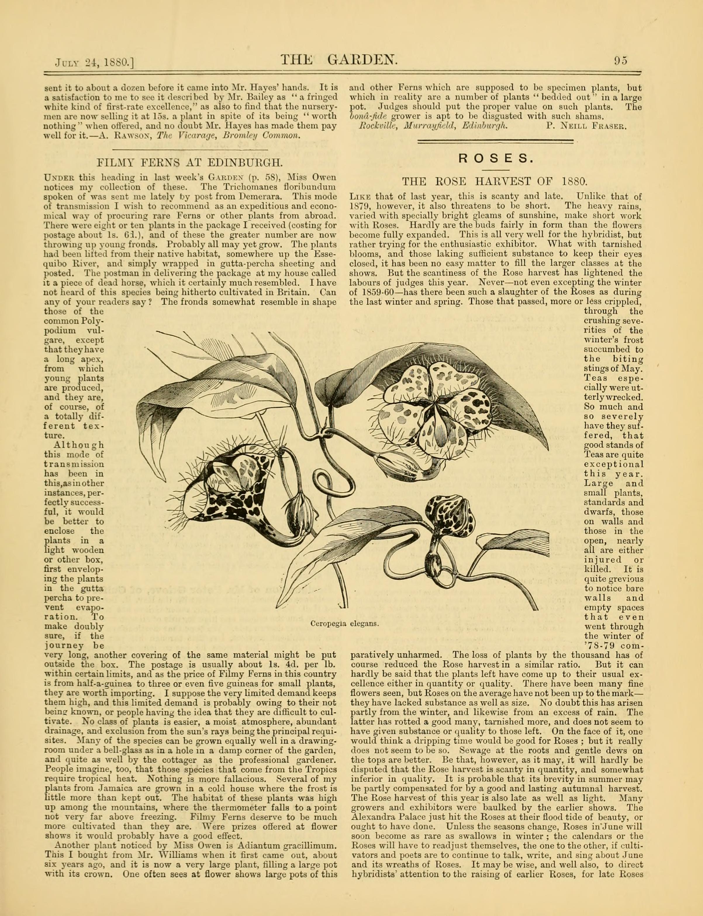 no full size  illustration available (3a)