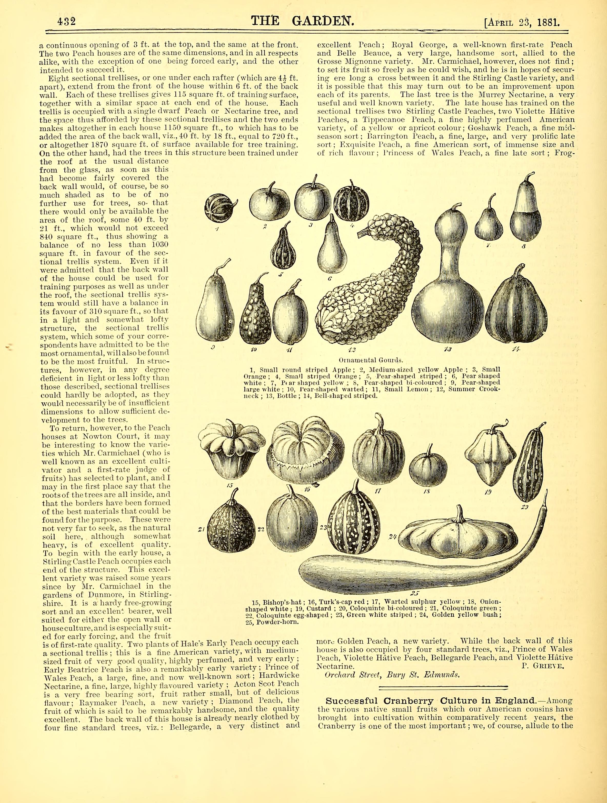 no full size  illustration available (3a)