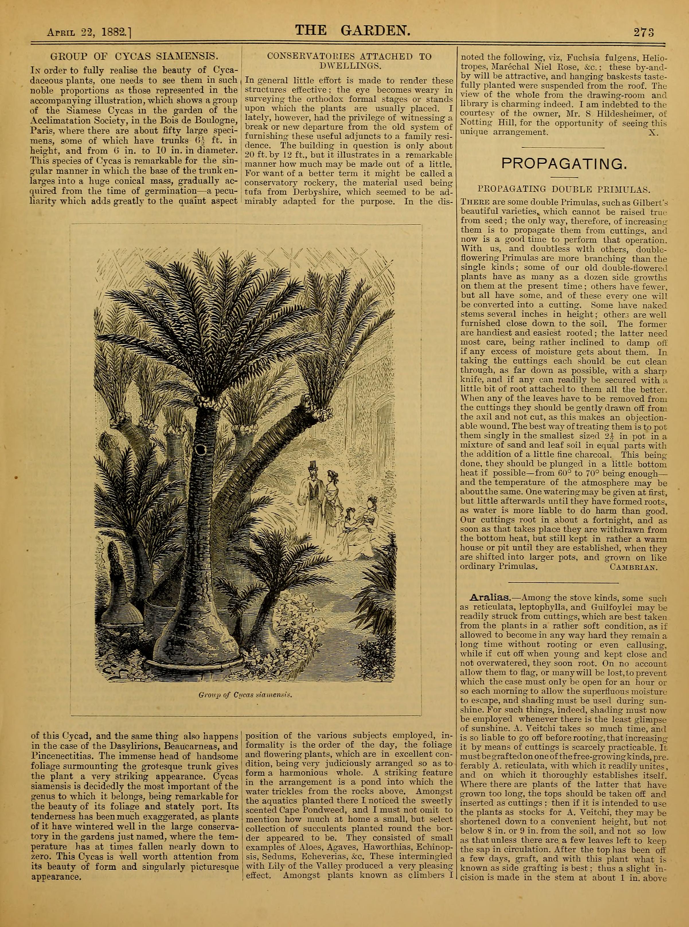 no full size  illustration available (3a)