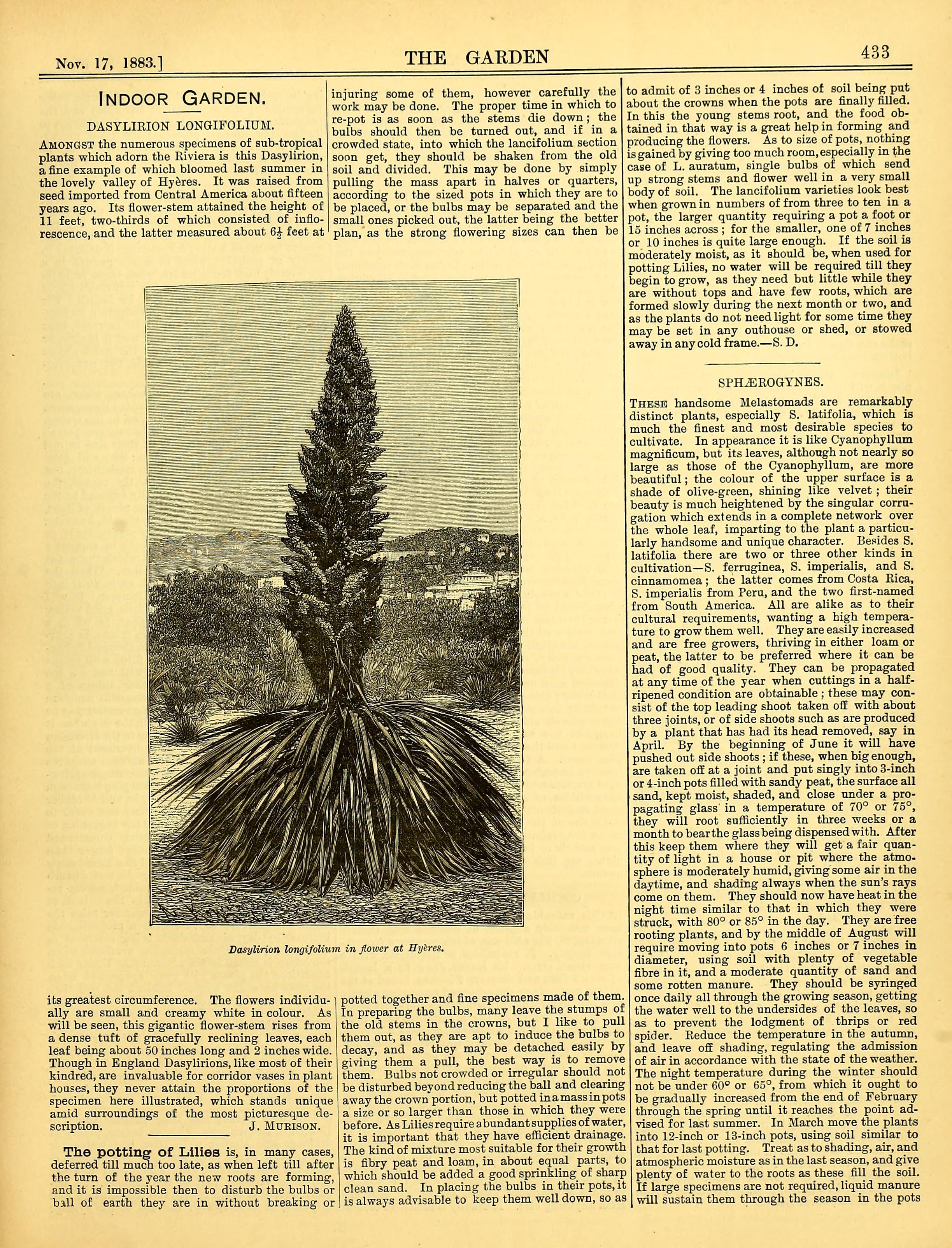 no full size  illustration available (3a)