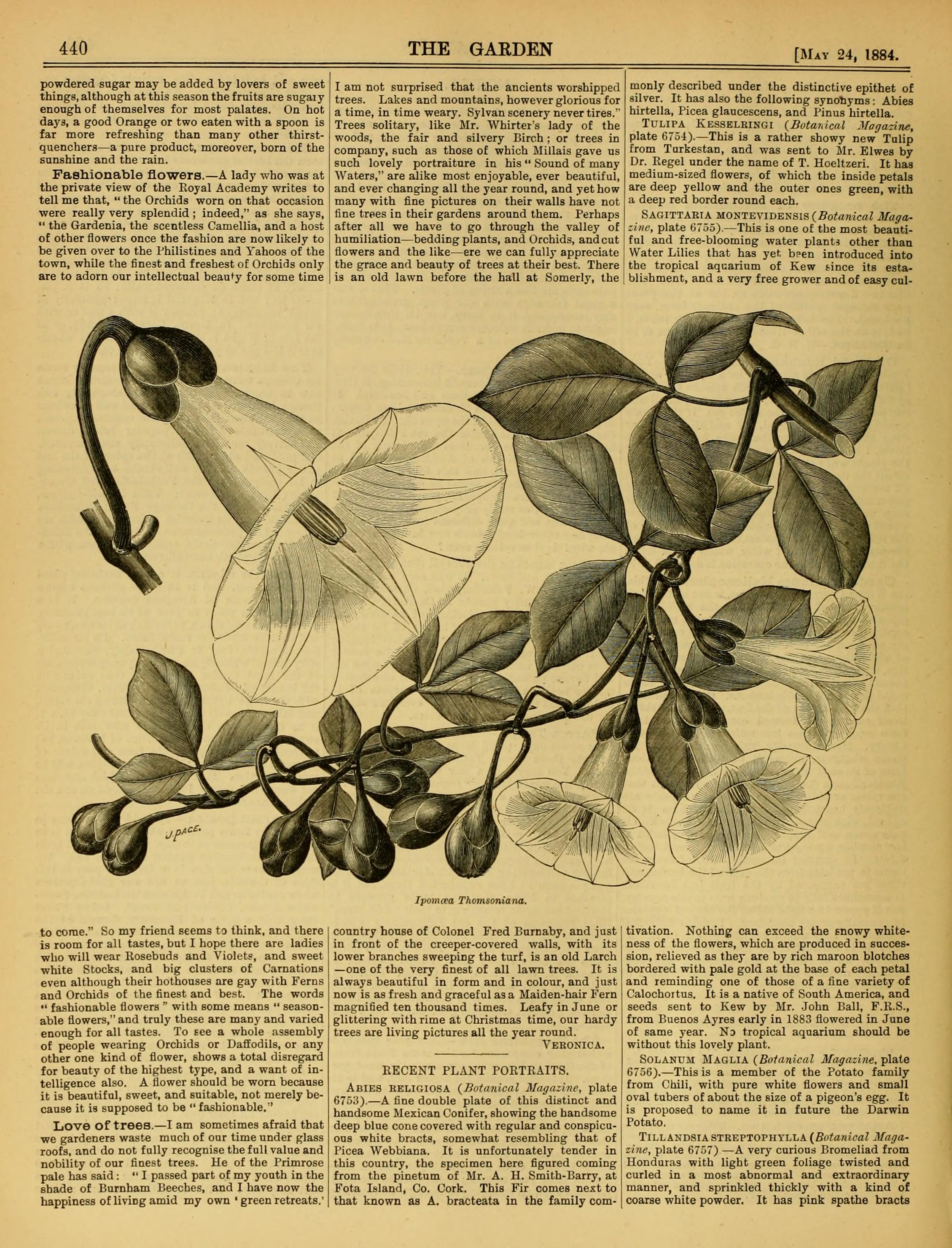 no full size  illustration available (3a)