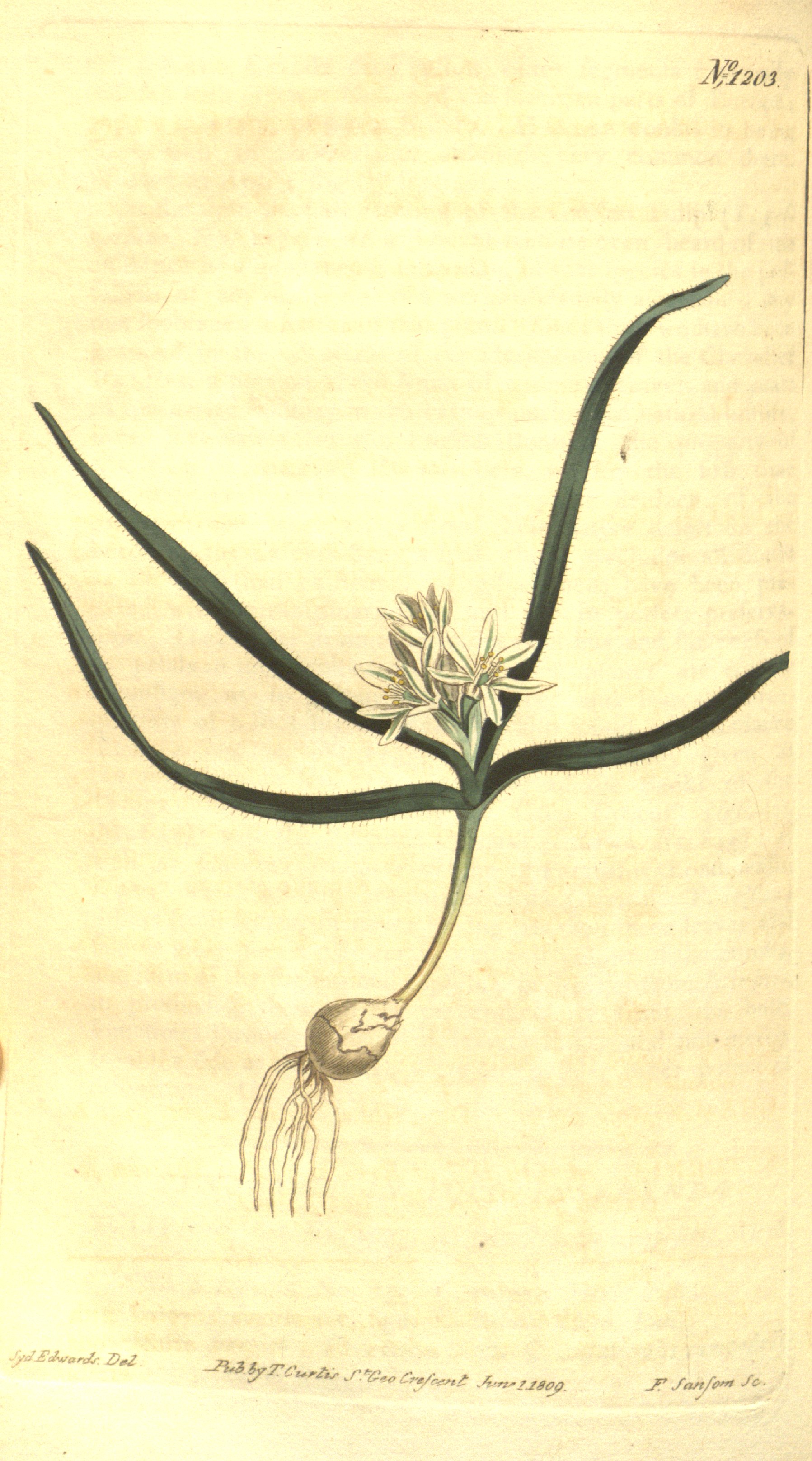 no full size  illustration available (3a)