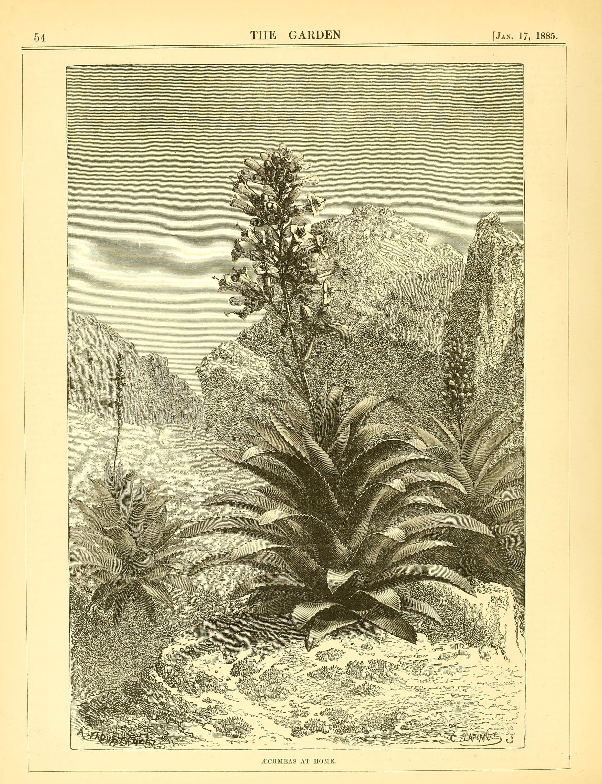 no full size  illustration available (3a)