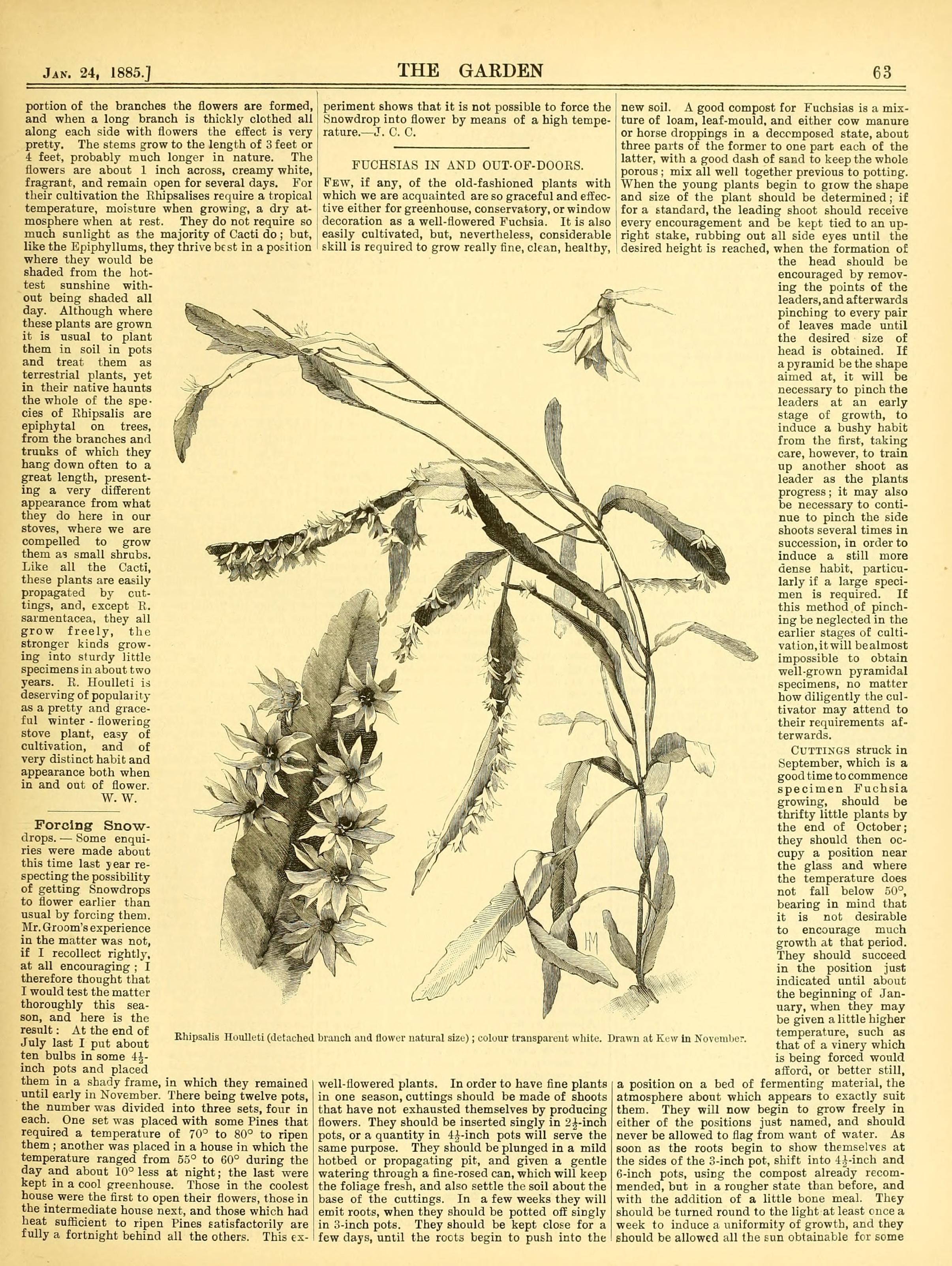 no full size  illustration available (3a)