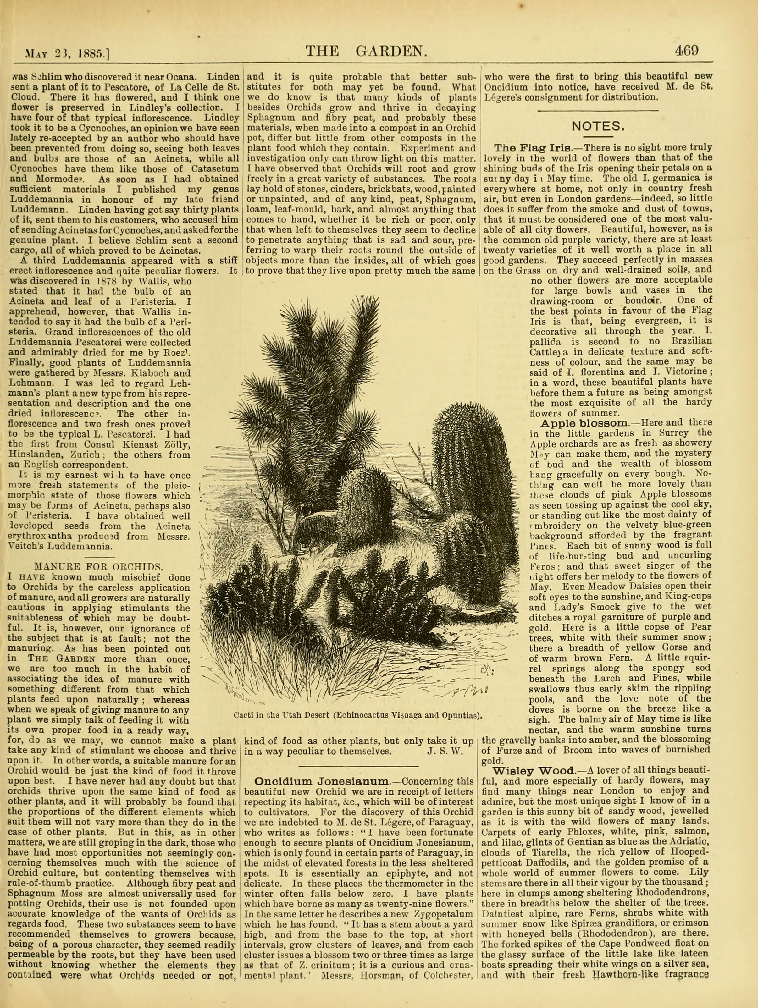 no full size  illustration available (3a)