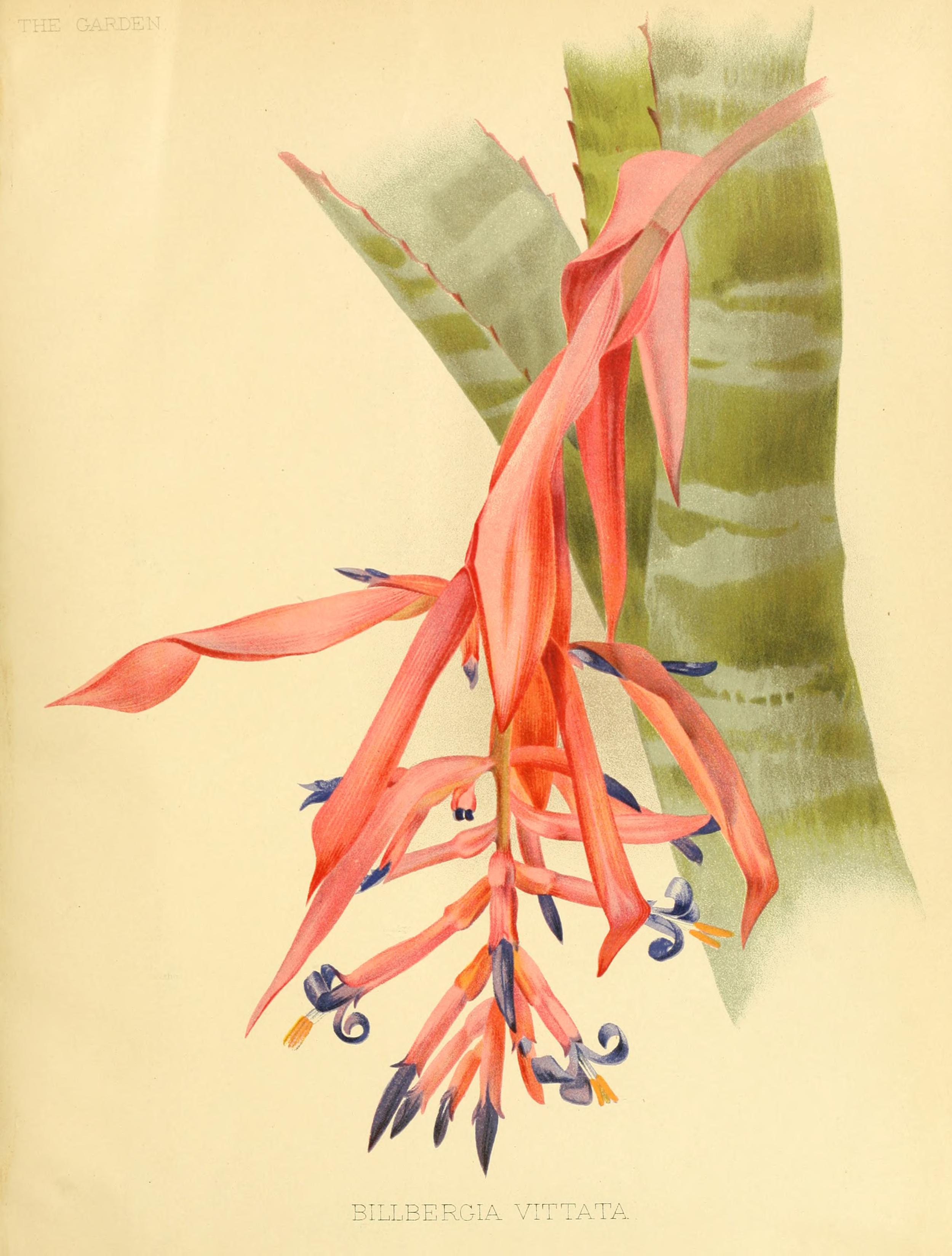 no full size  illustration available (3a)