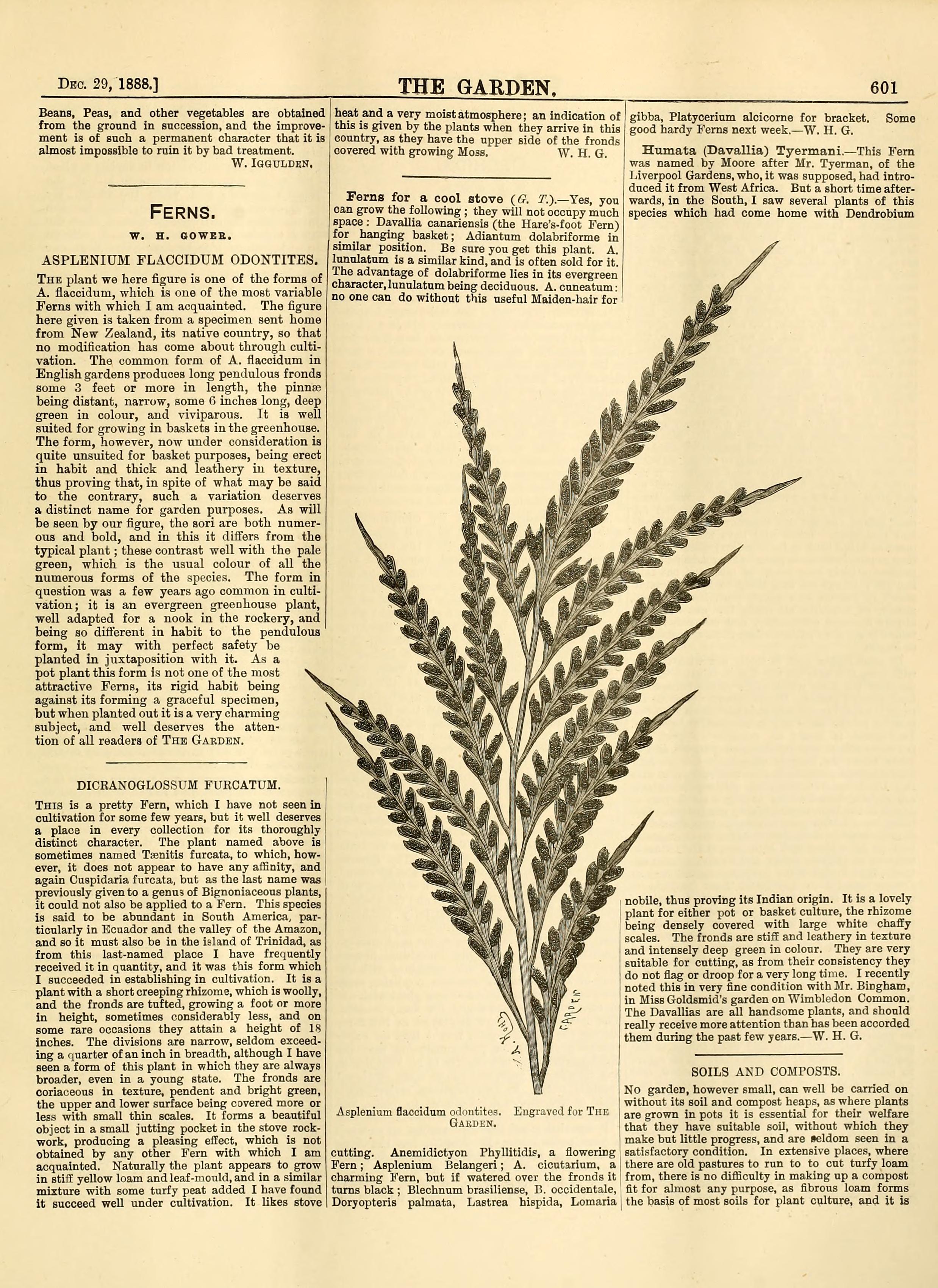 no full size  illustration available (3a)