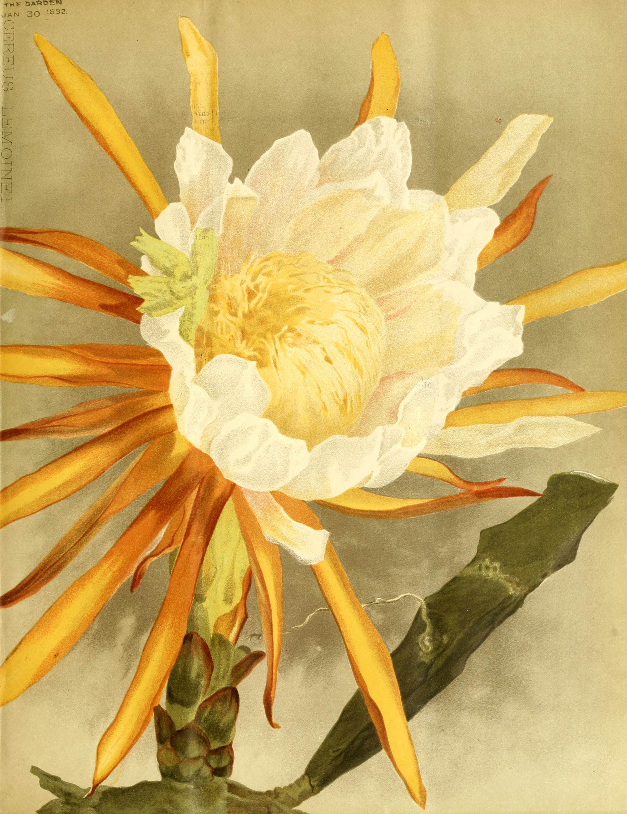 no full size  illustration available (3a)