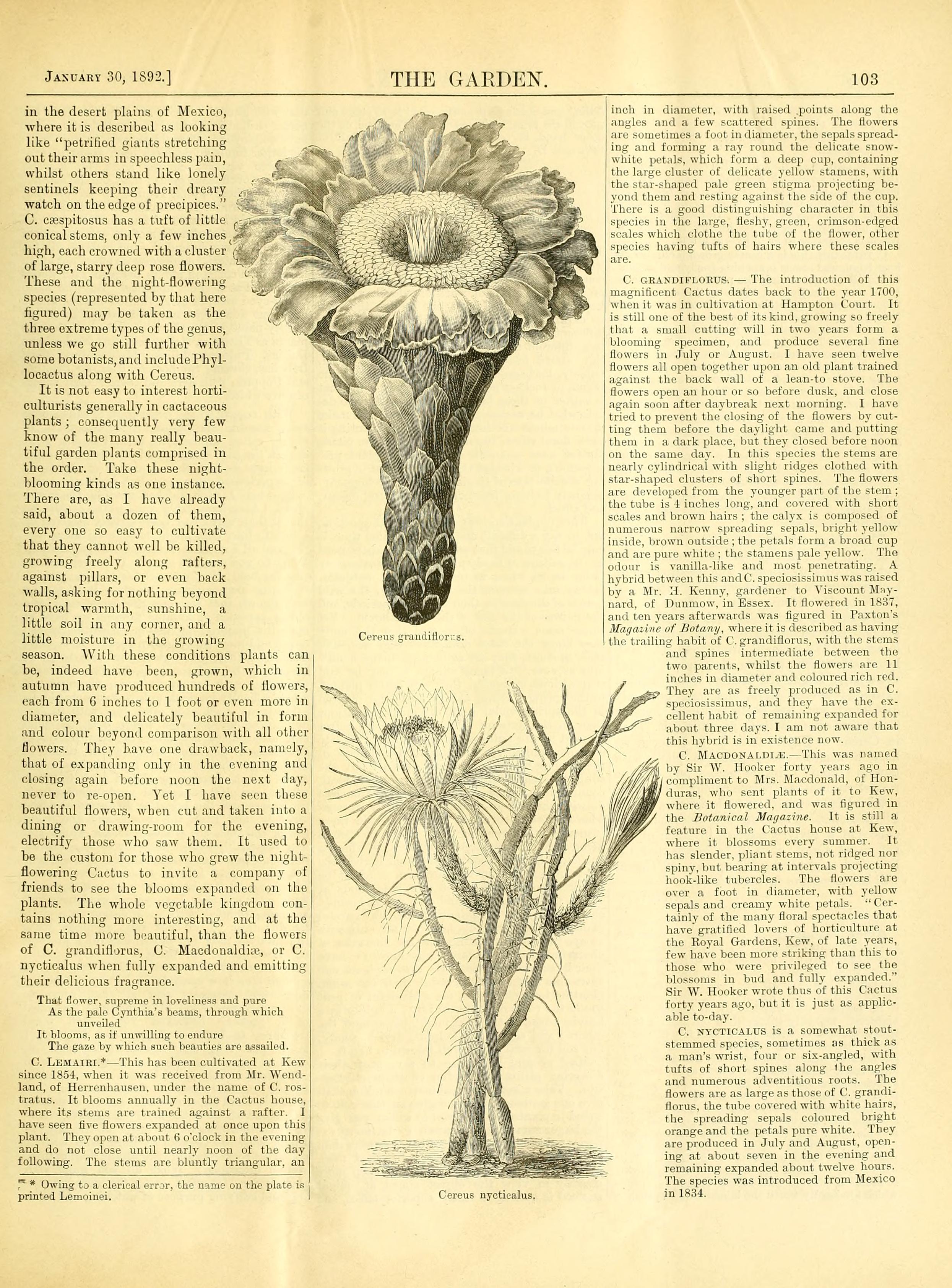 no full size  illustration available (3a)