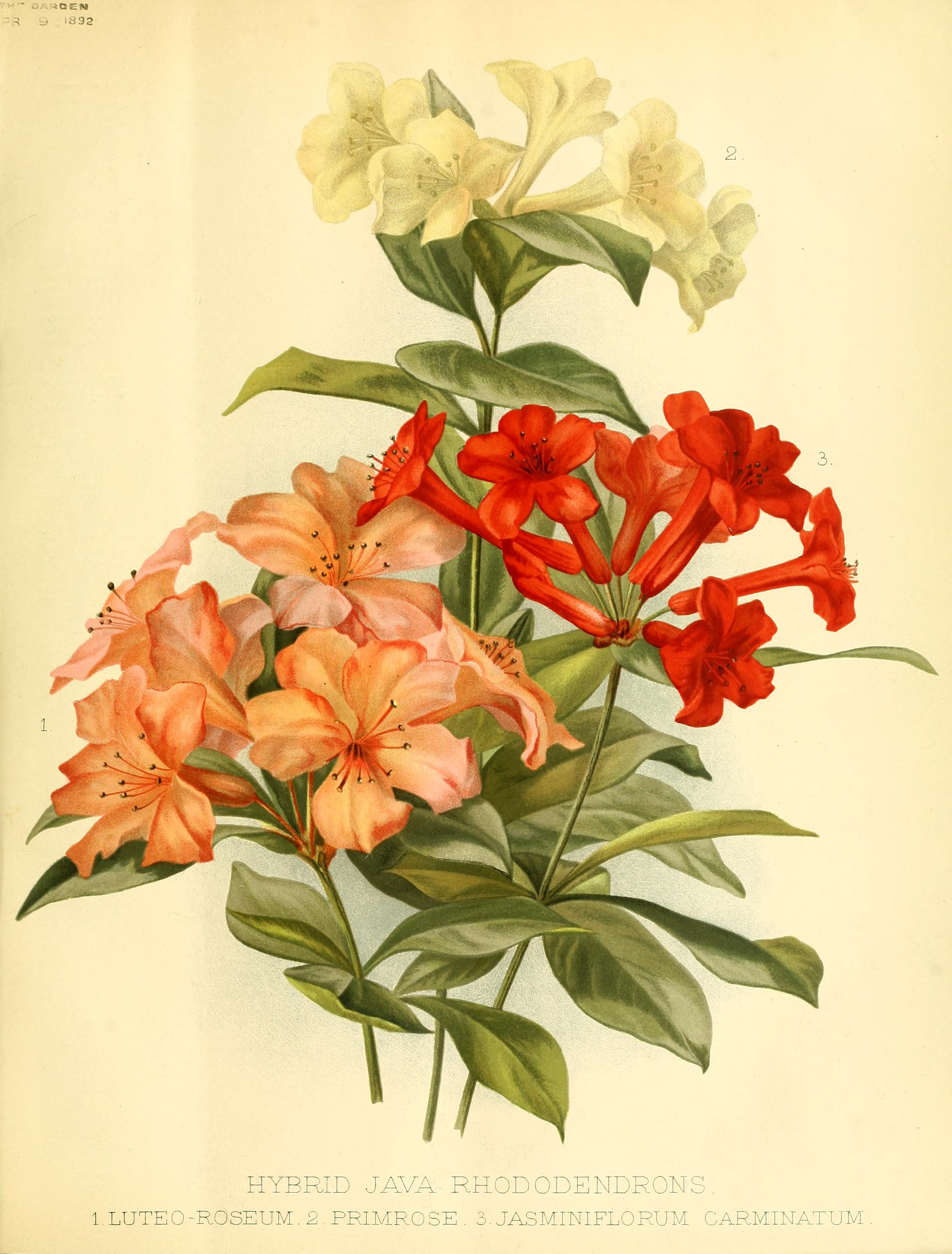 no full size  illustration available (3a)