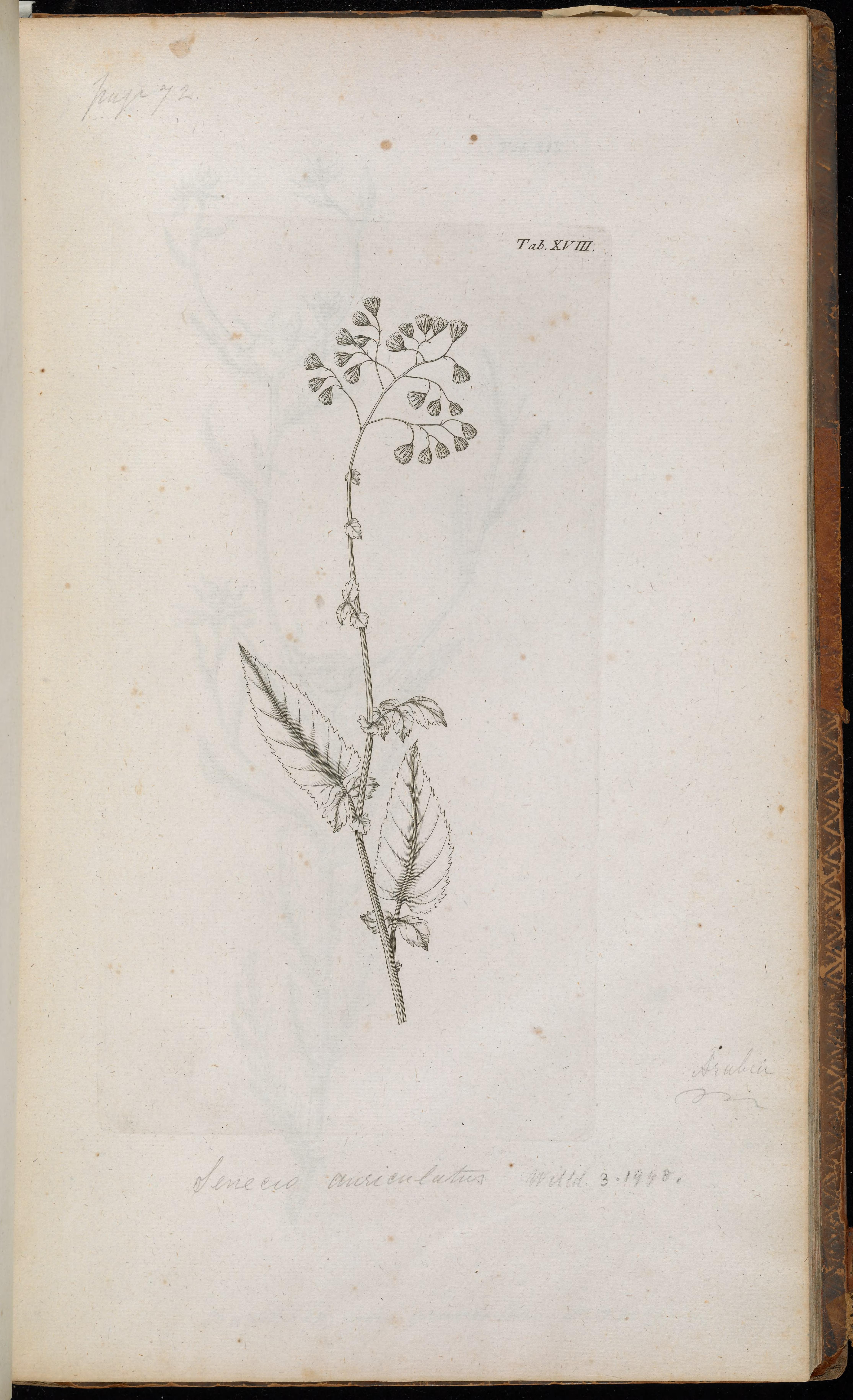 no full size  illustration available (3a)