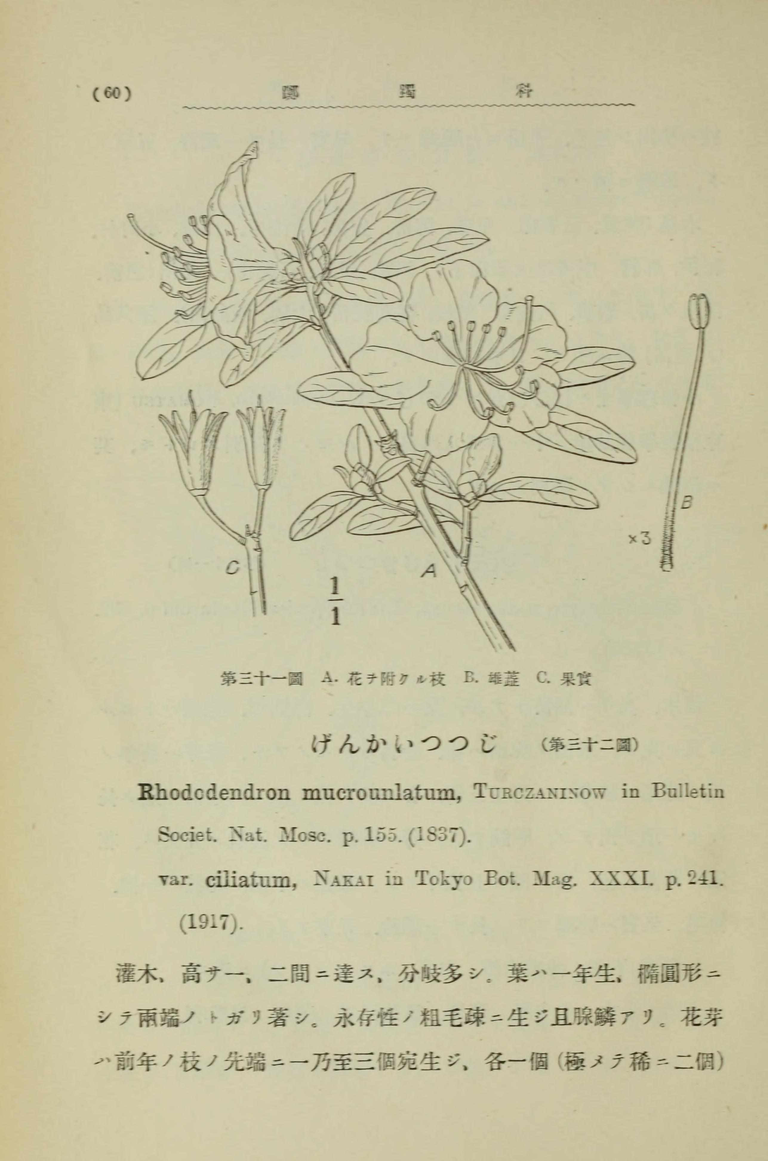 no full size  illustration available (3a)