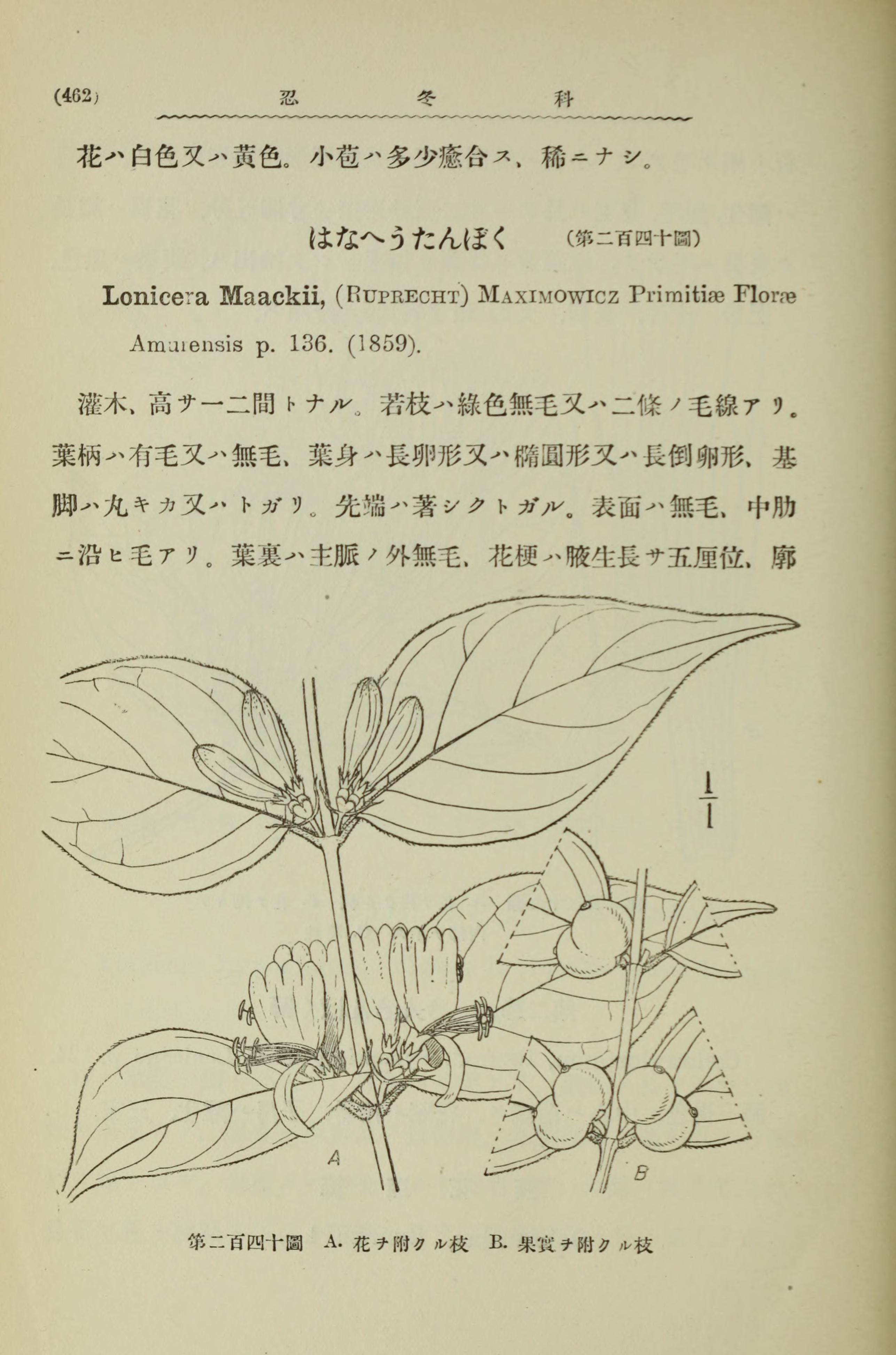 no full size  illustration available (3a)