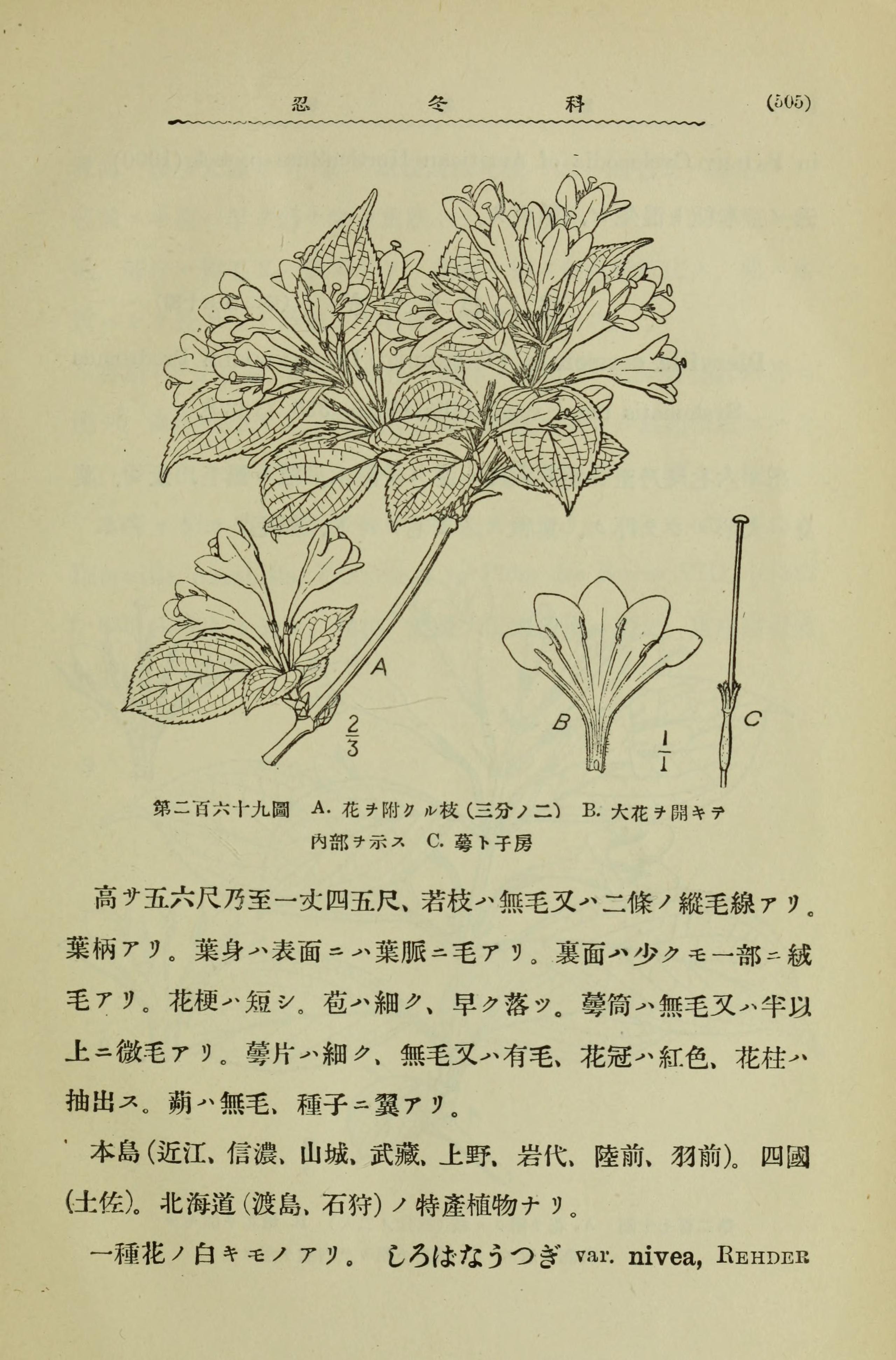 no full size  illustration available (3a)