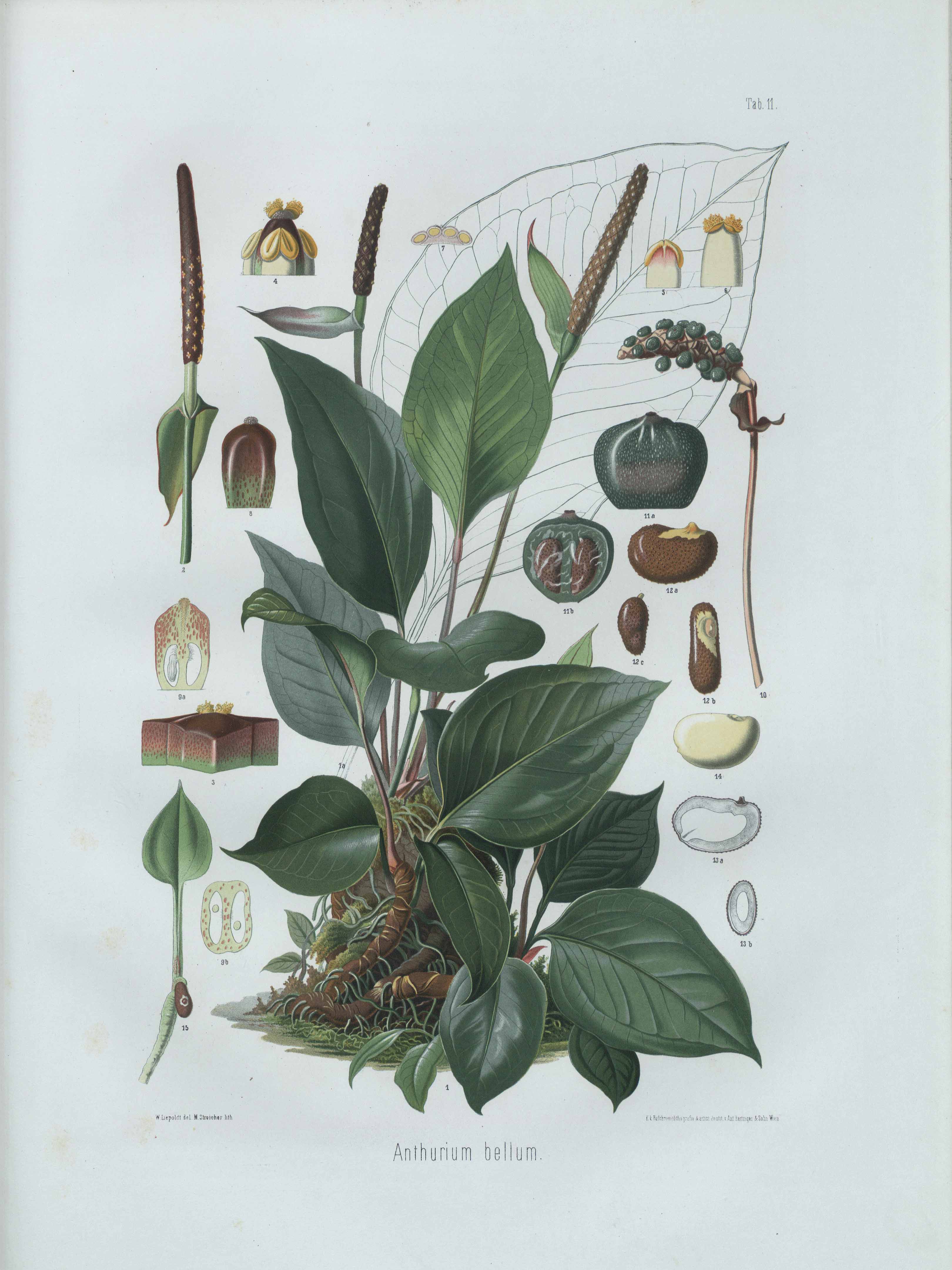 no full size  illustration available (3a)