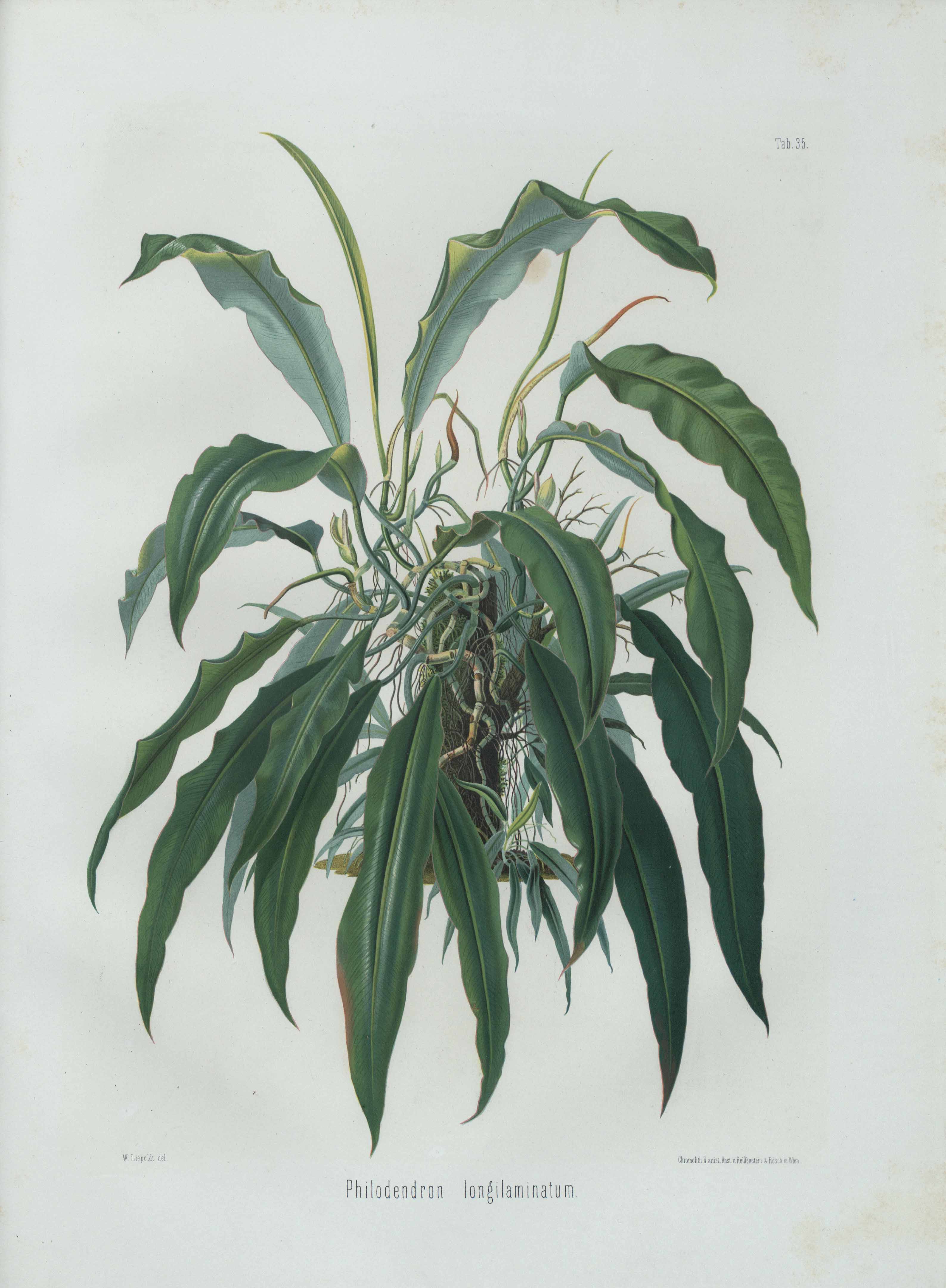 no full size  illustration available (3a)