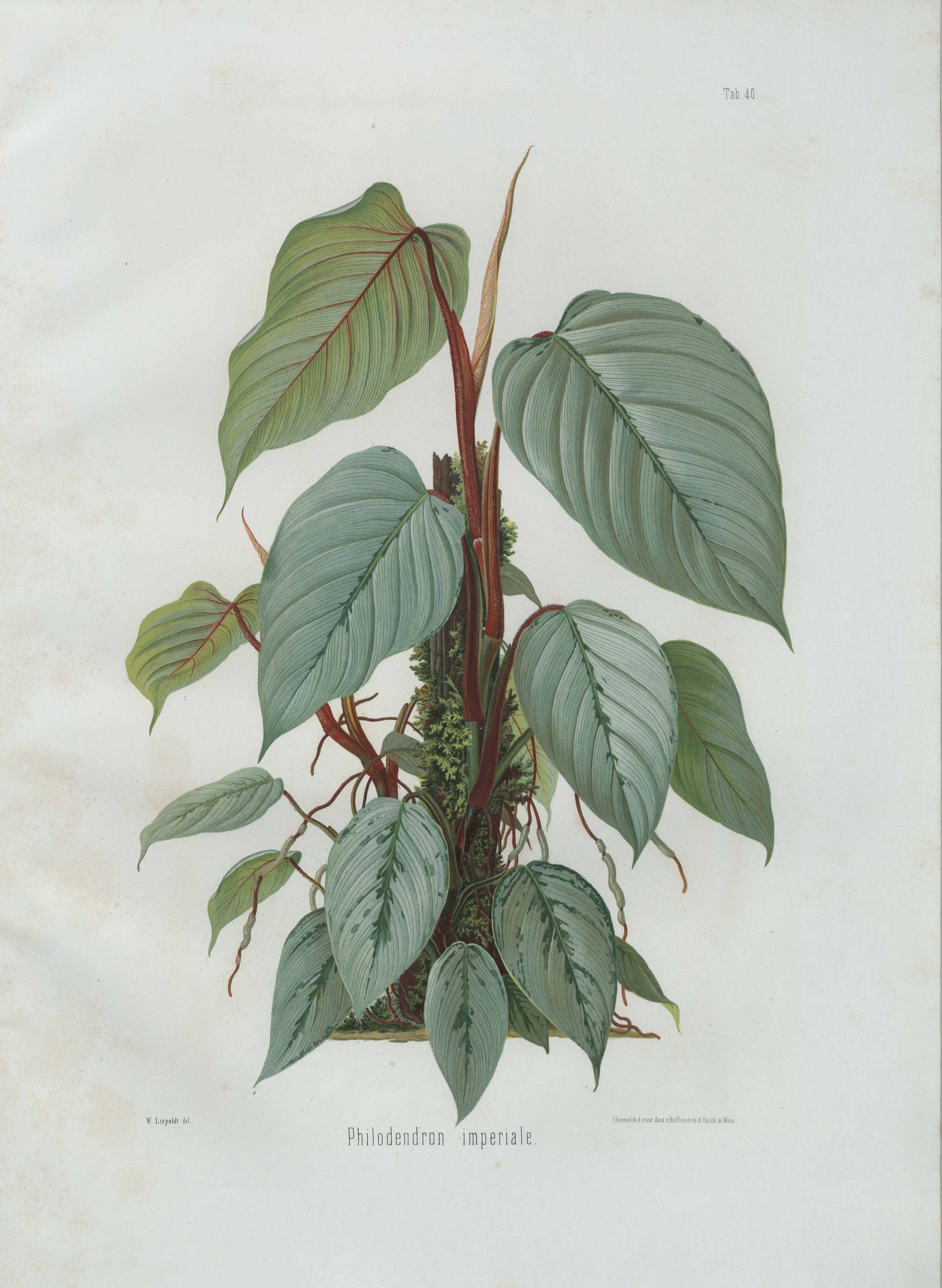 no full size  illustration available (3a)