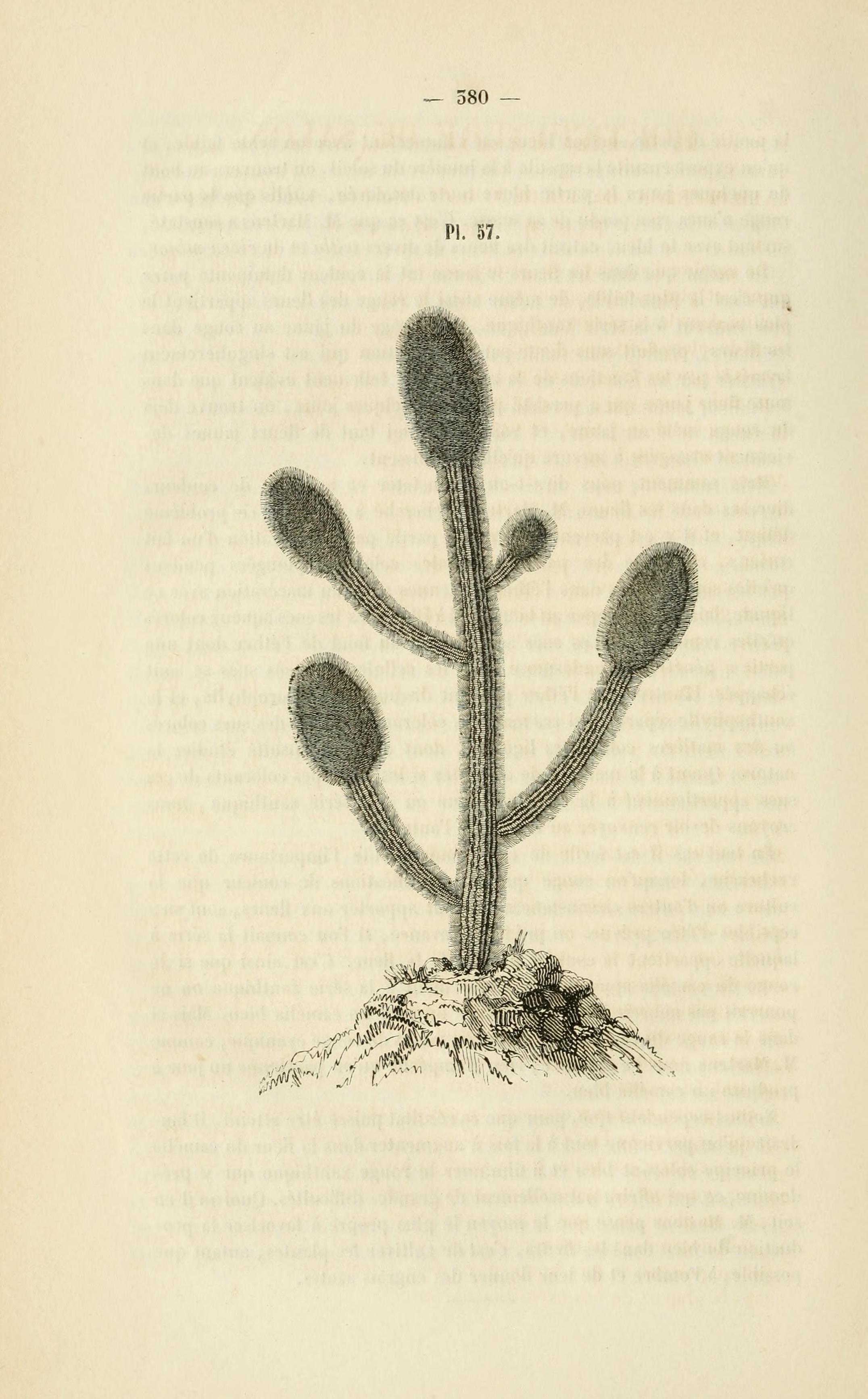 no full size  illustration available (3a)