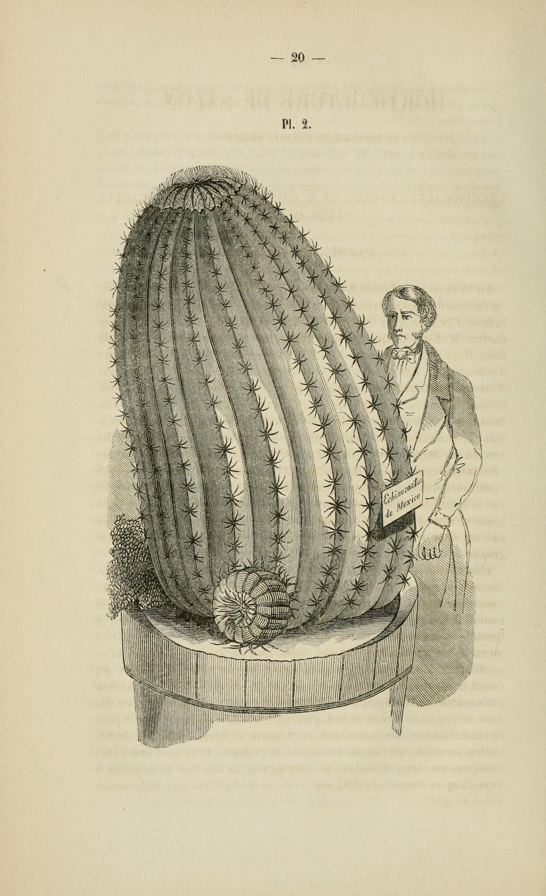 no full size  illustration available (3a)