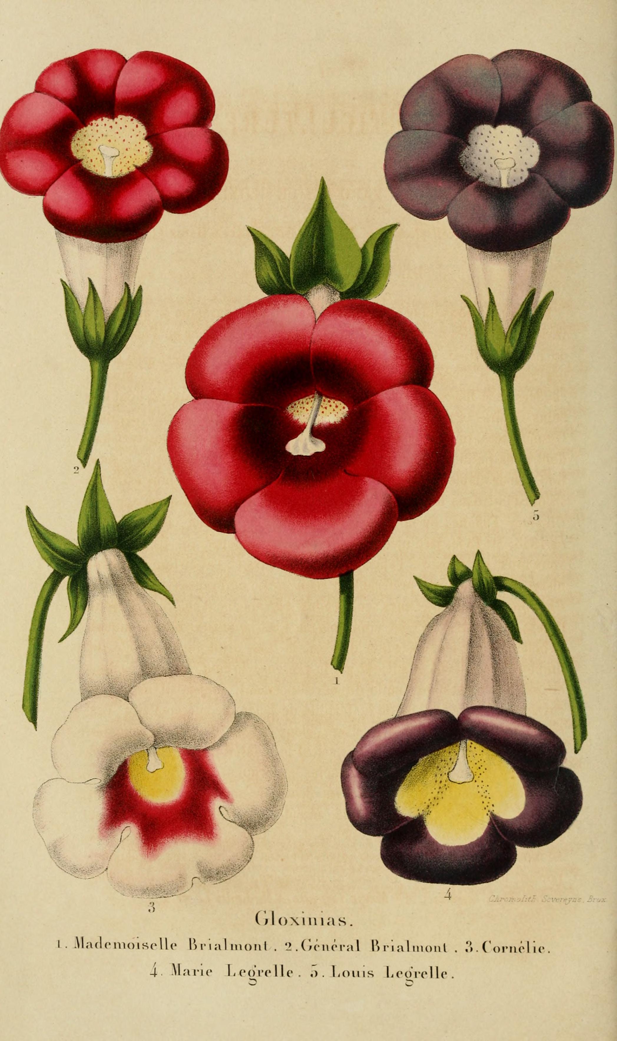 no full size  illustration available (3a)