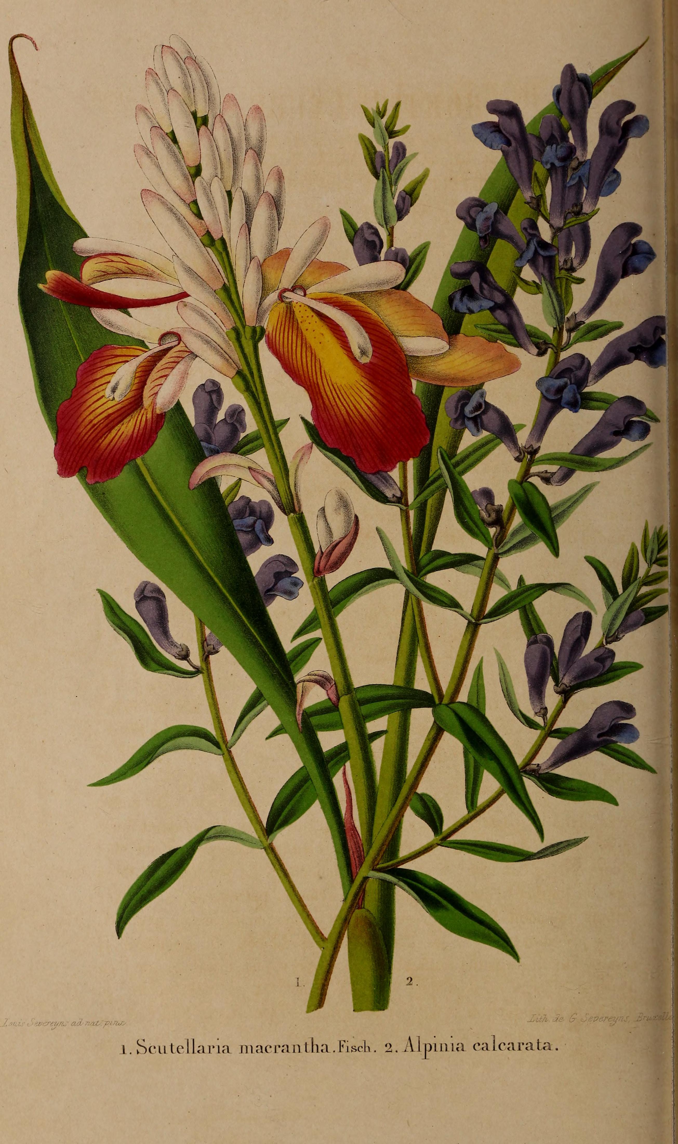 no full size  illustration available (3a)