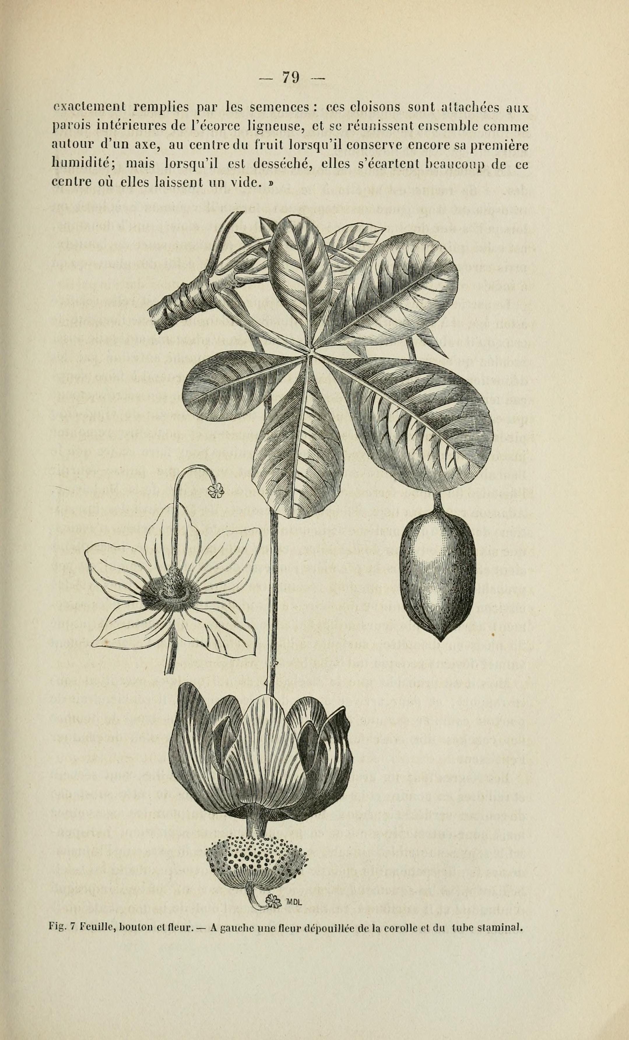 no full size  illustration available (3a)