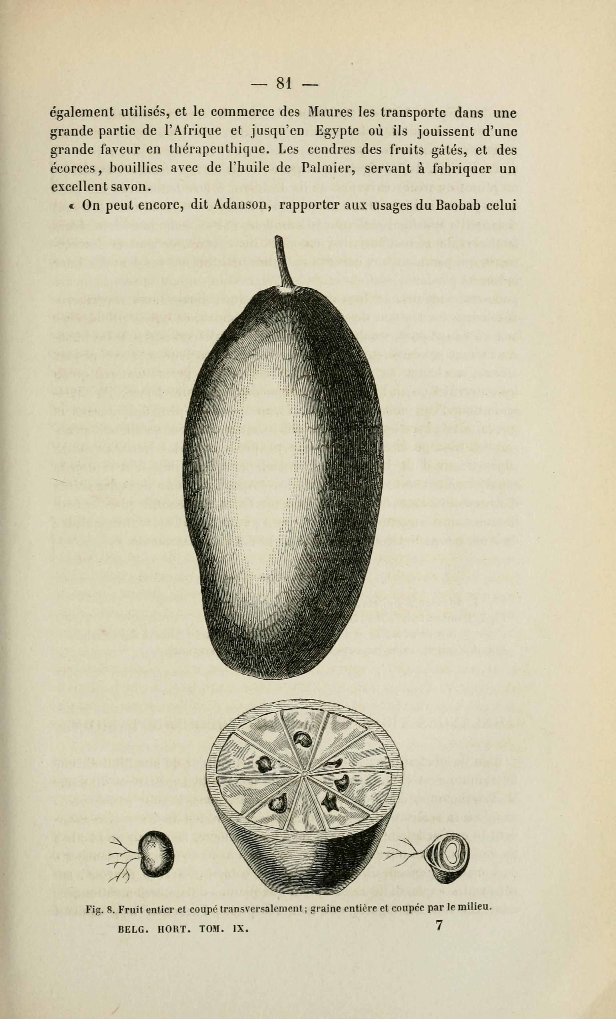 no full size  illustration available (3a)