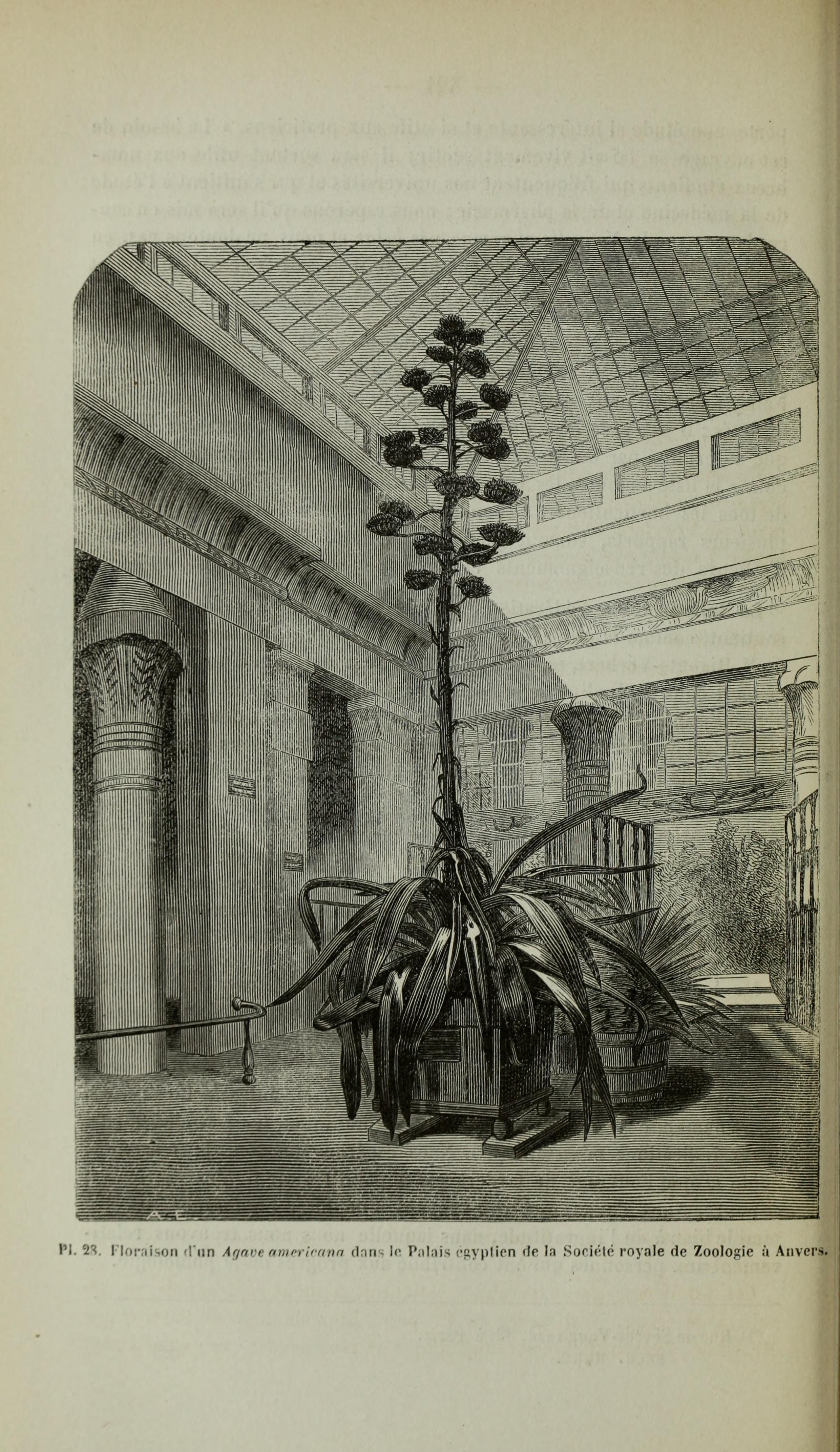 no full size  illustration available (3a)